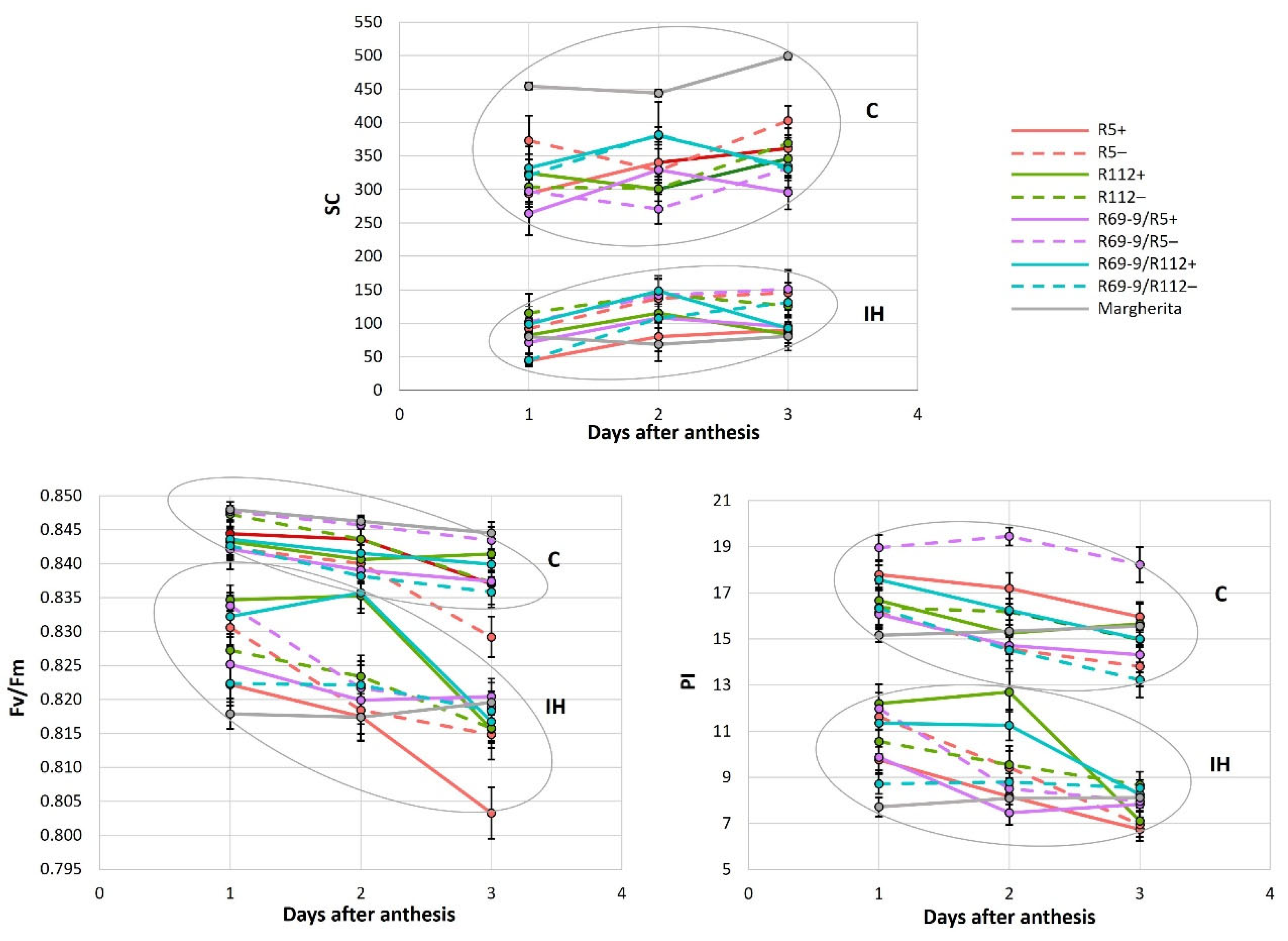 Preprints 114173 g003