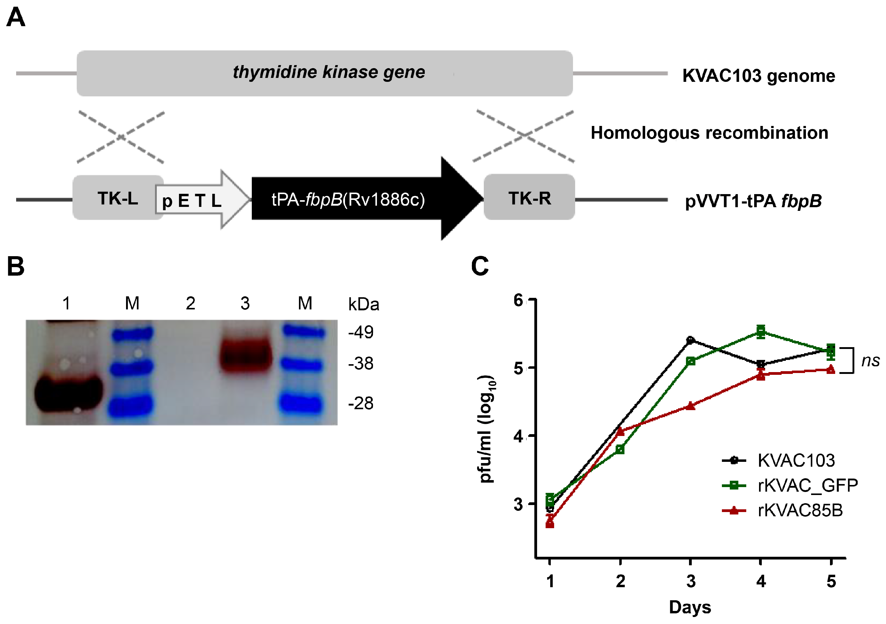 Preprints 99300 g001