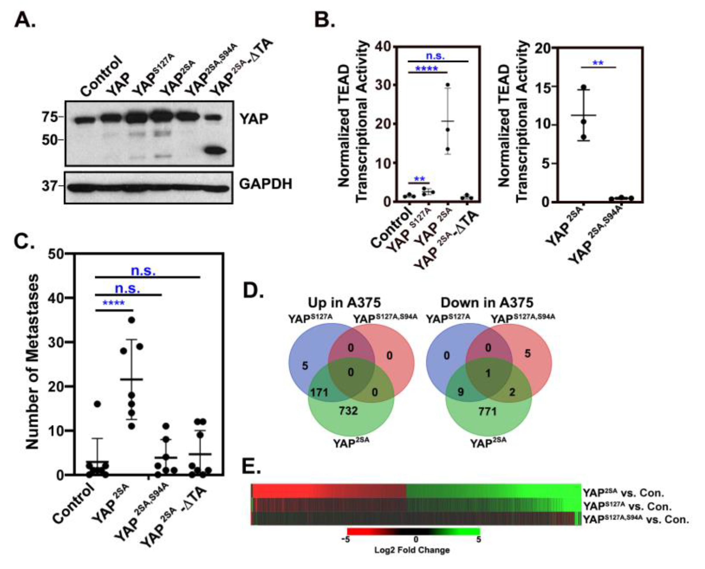 Preprints 94693 g001