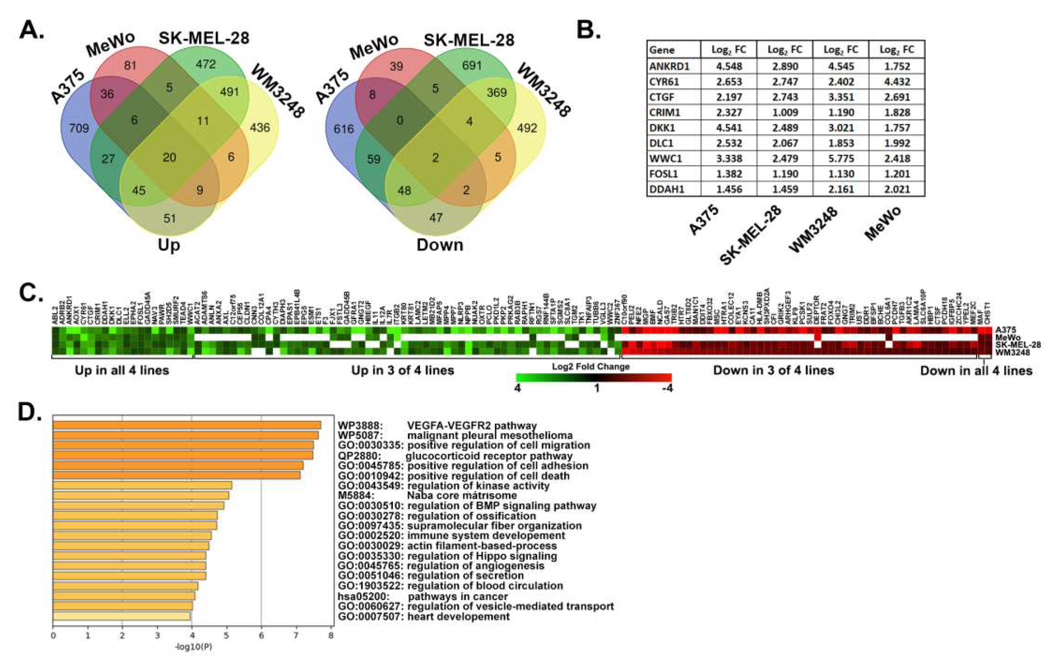 Preprints 94693 g002