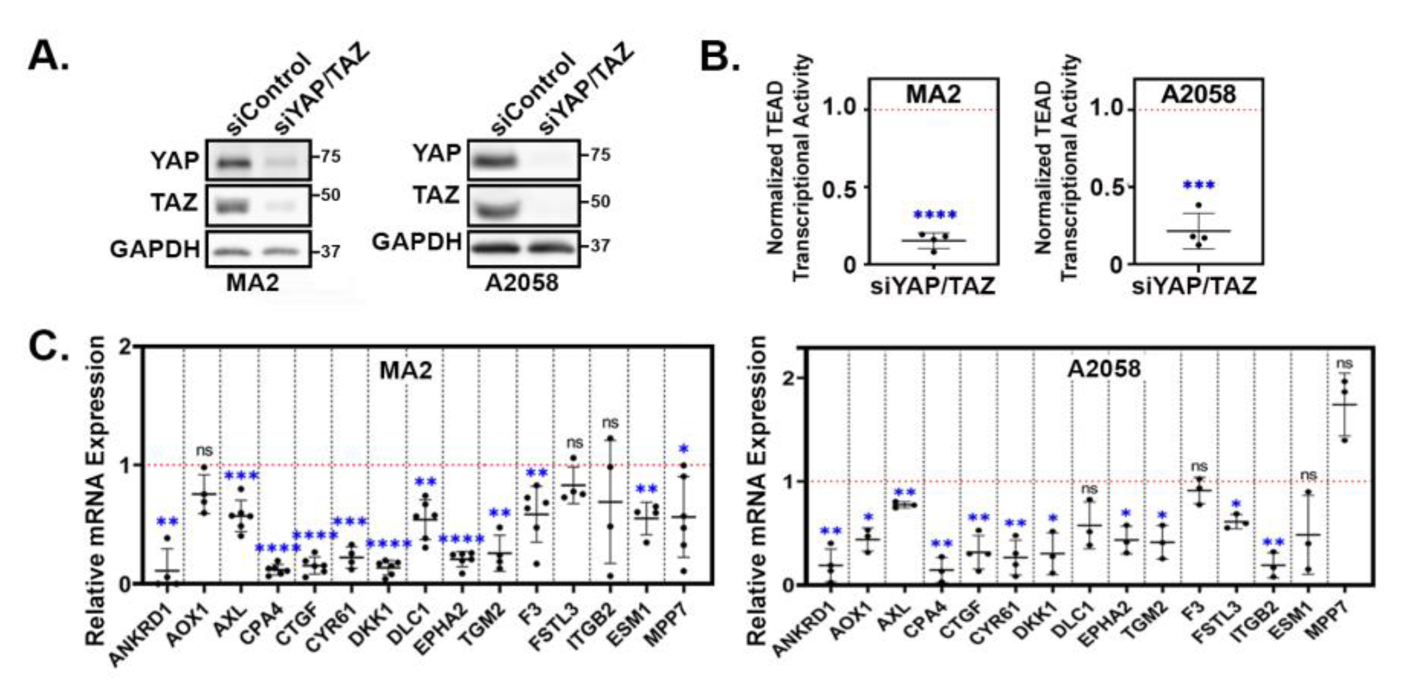 Preprints 94693 g003