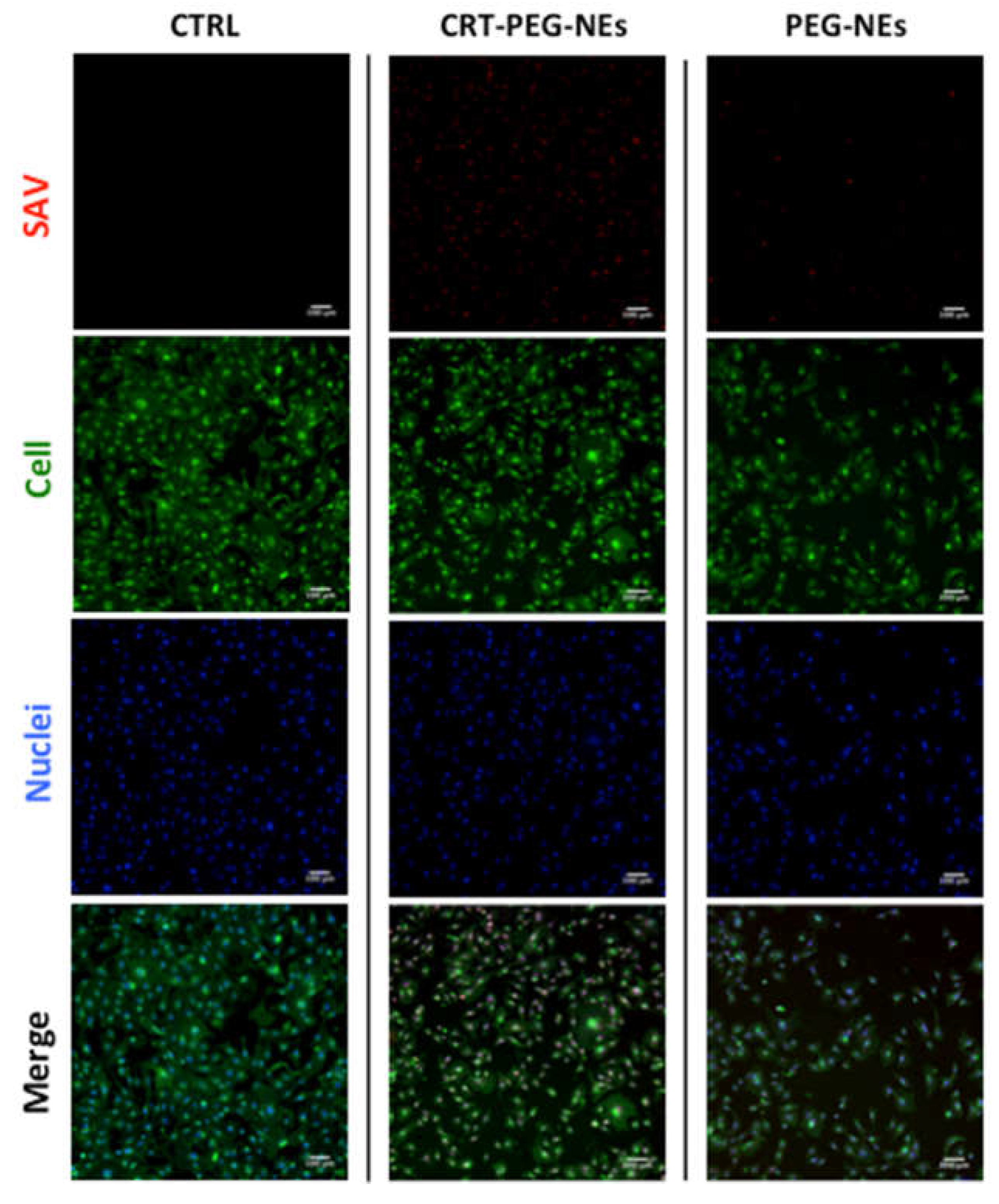 Preprints 112735 g008