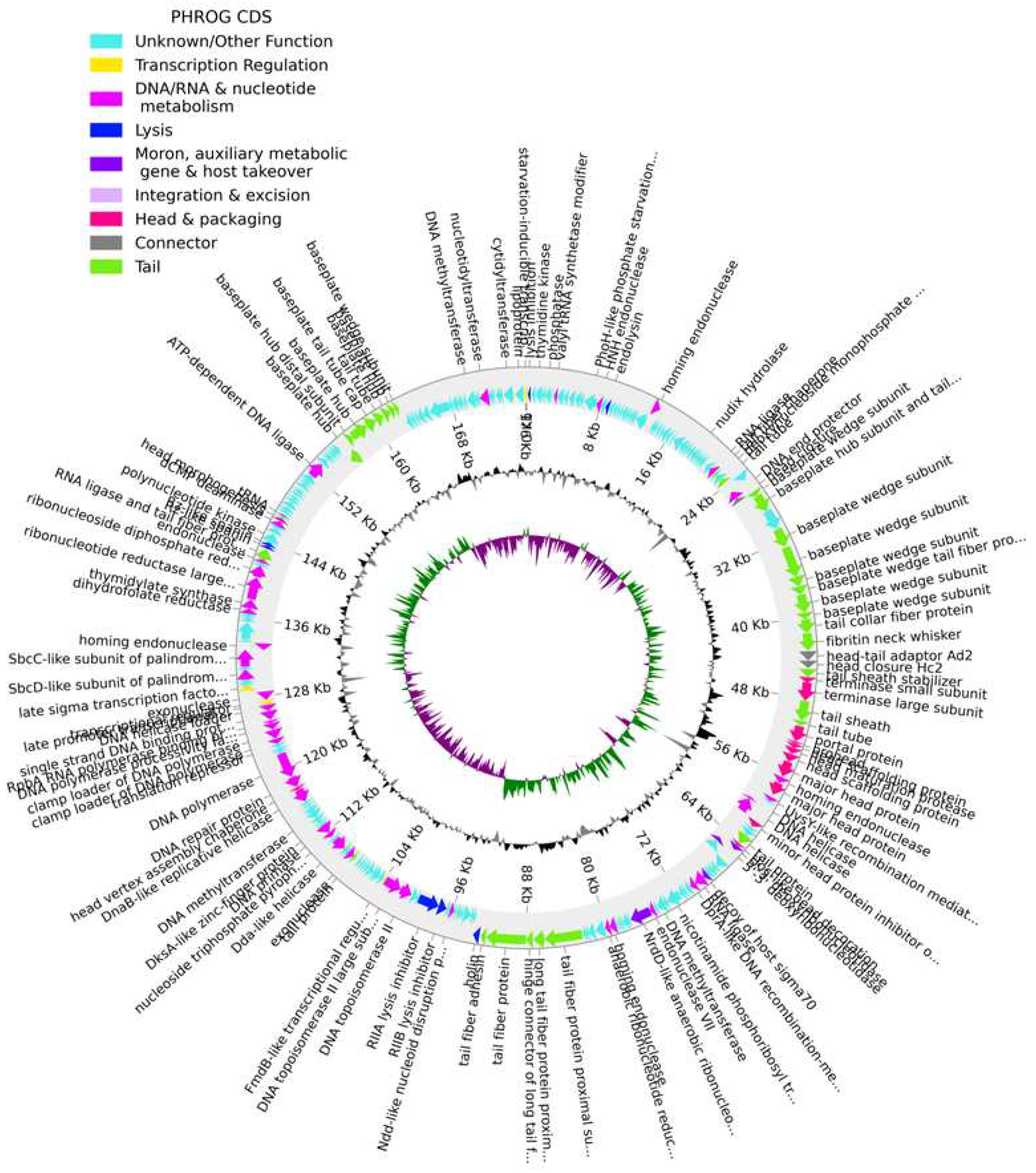 Preprints 95486 g002