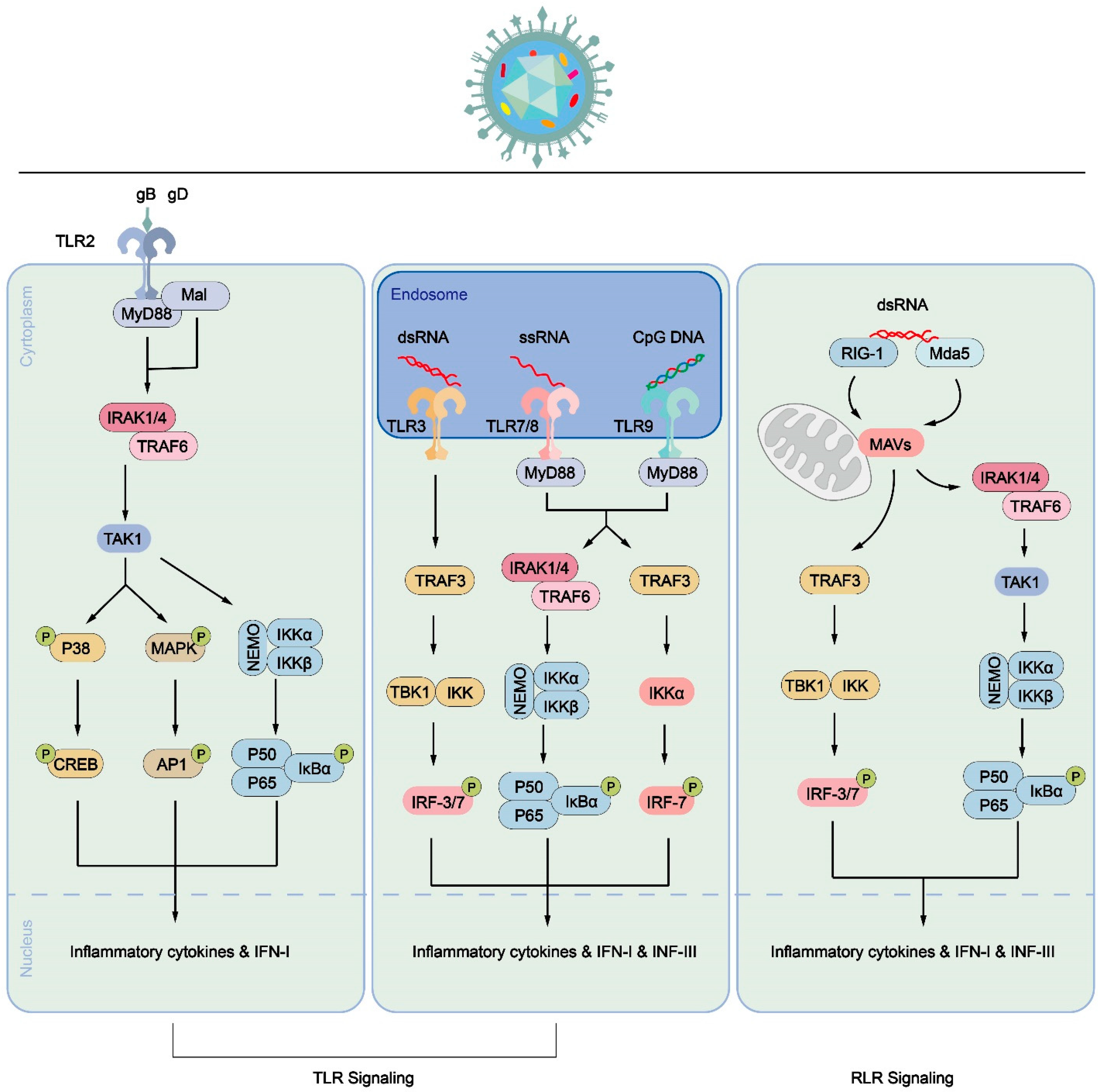 Preprints 89317 g003