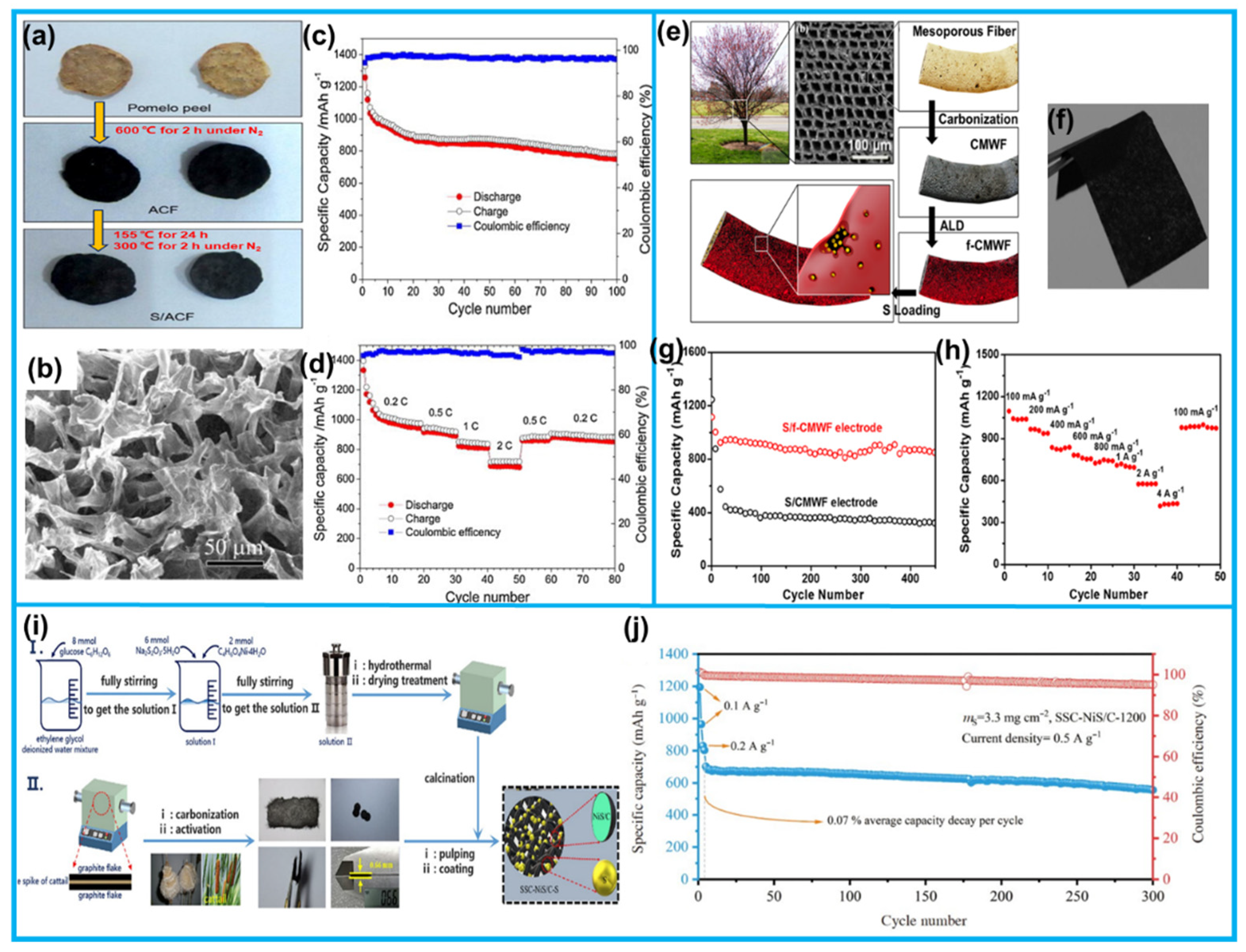 Preprints 81495 g014