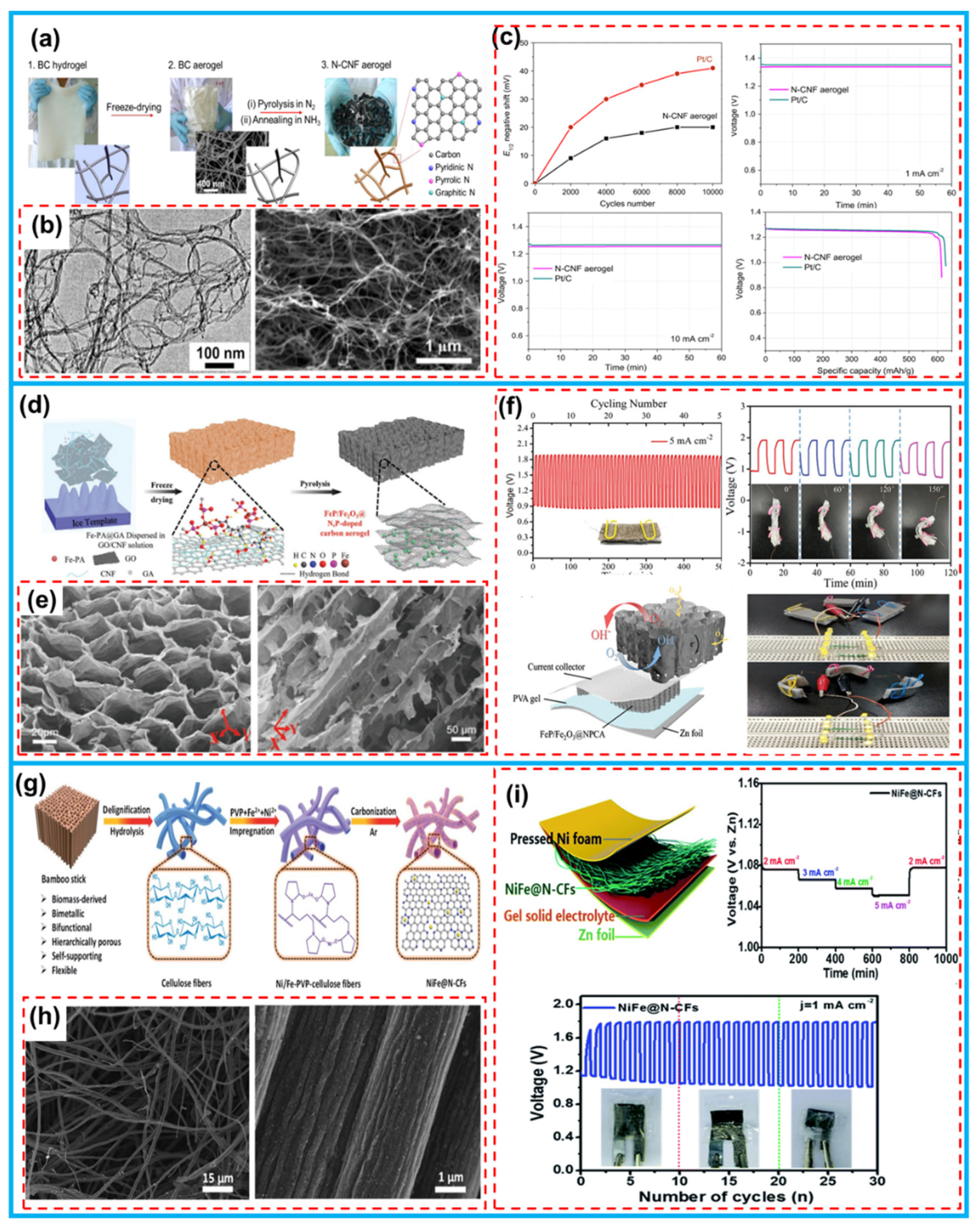 Preprints 81495 g015