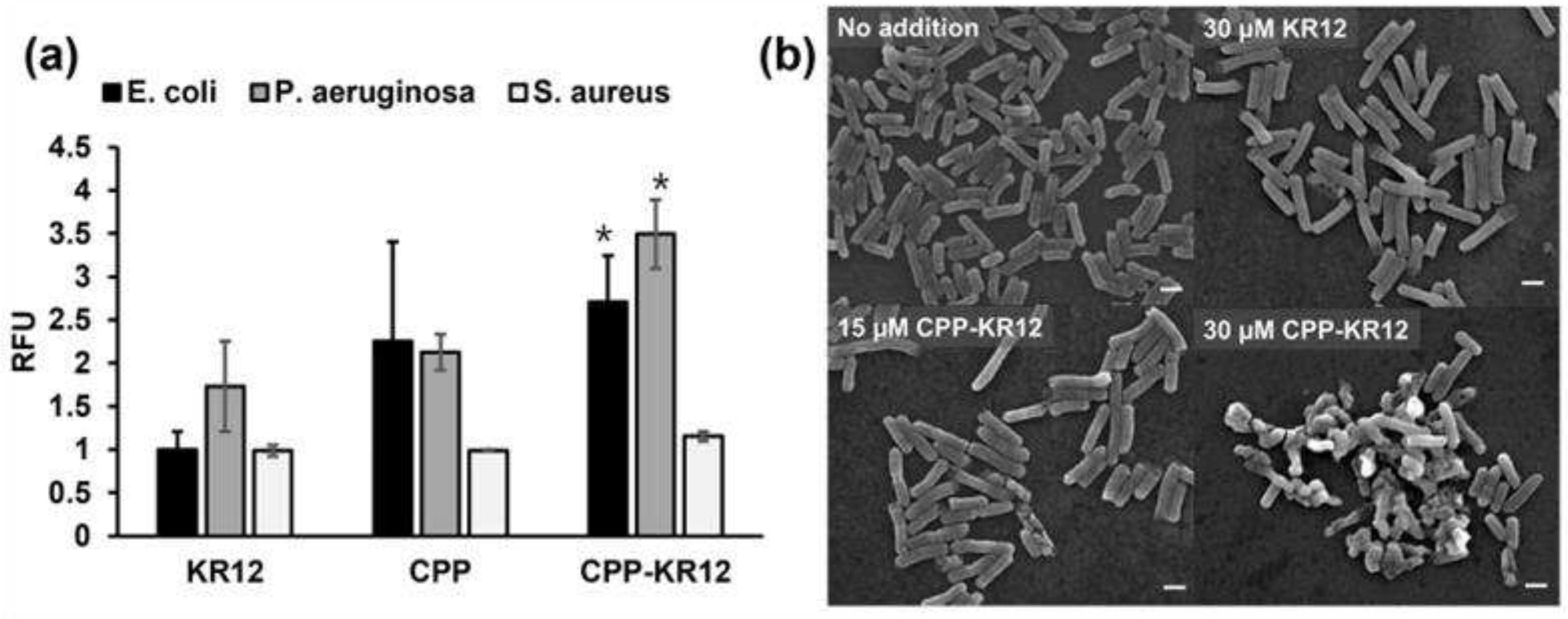 Preprints 87464 g001