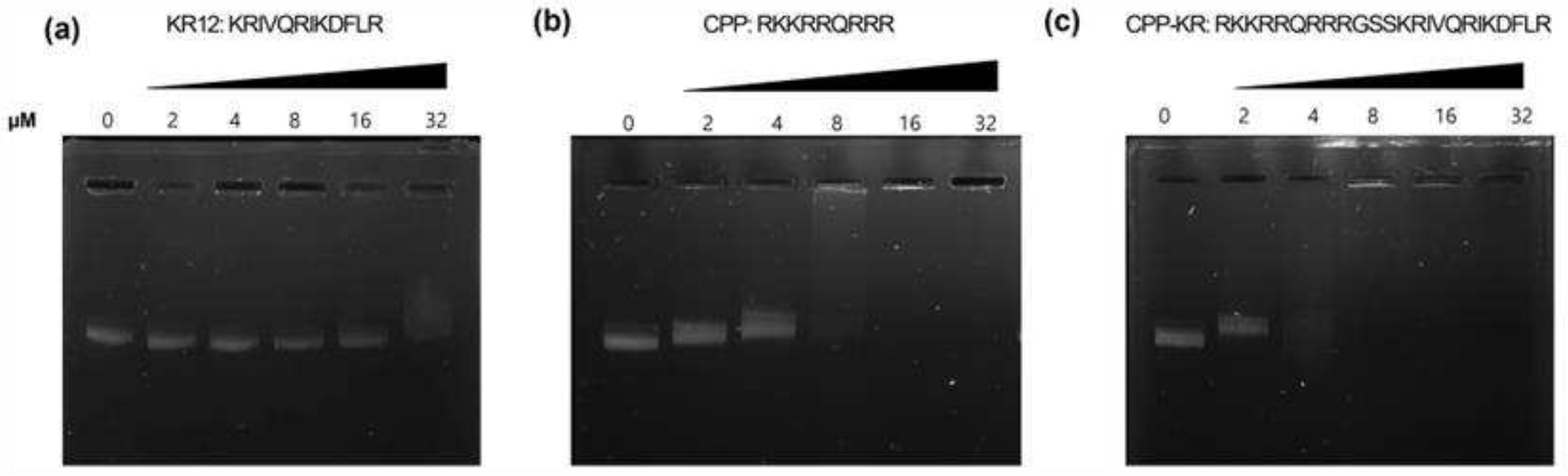 Preprints 87464 g002