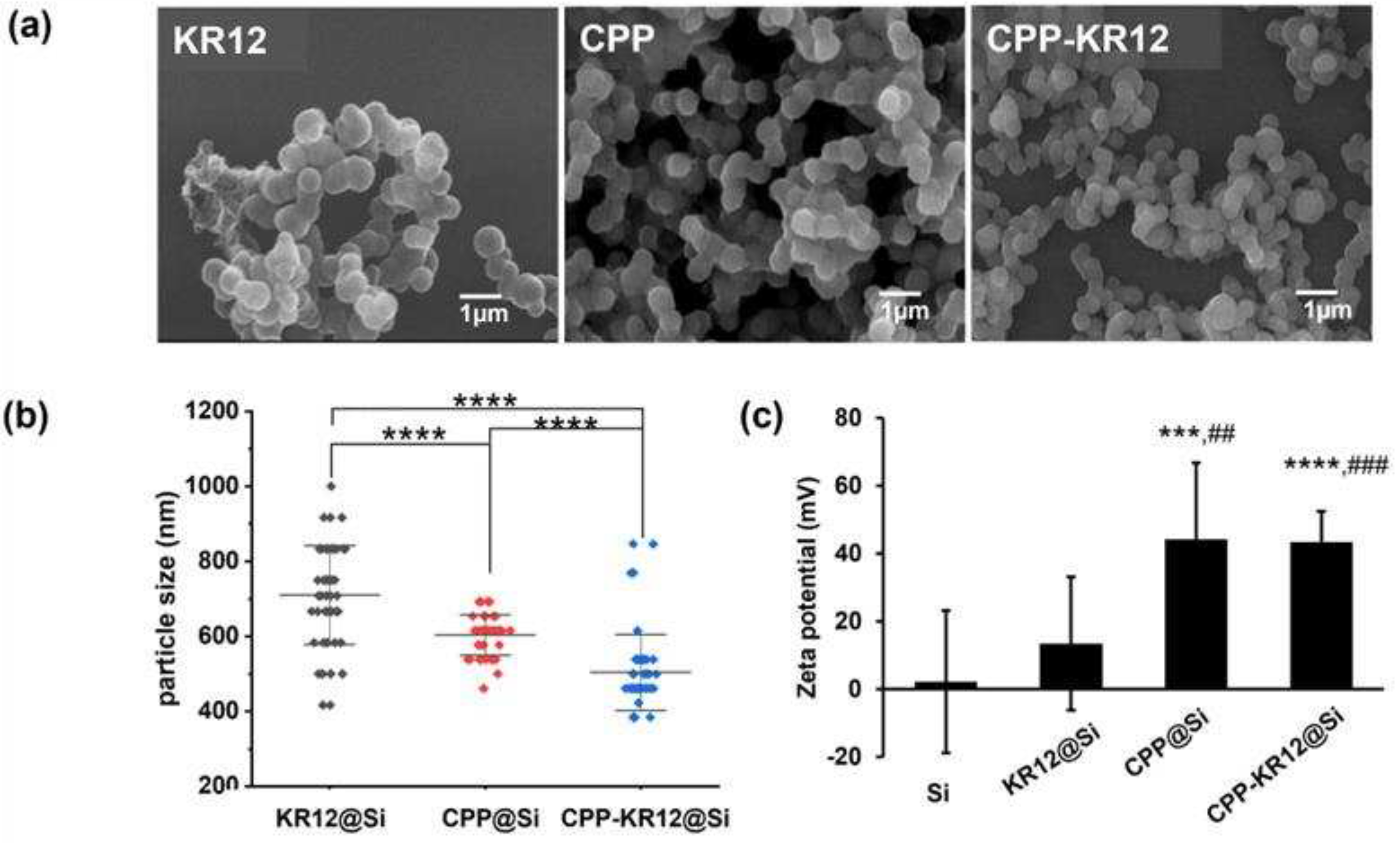 Preprints 87464 g004