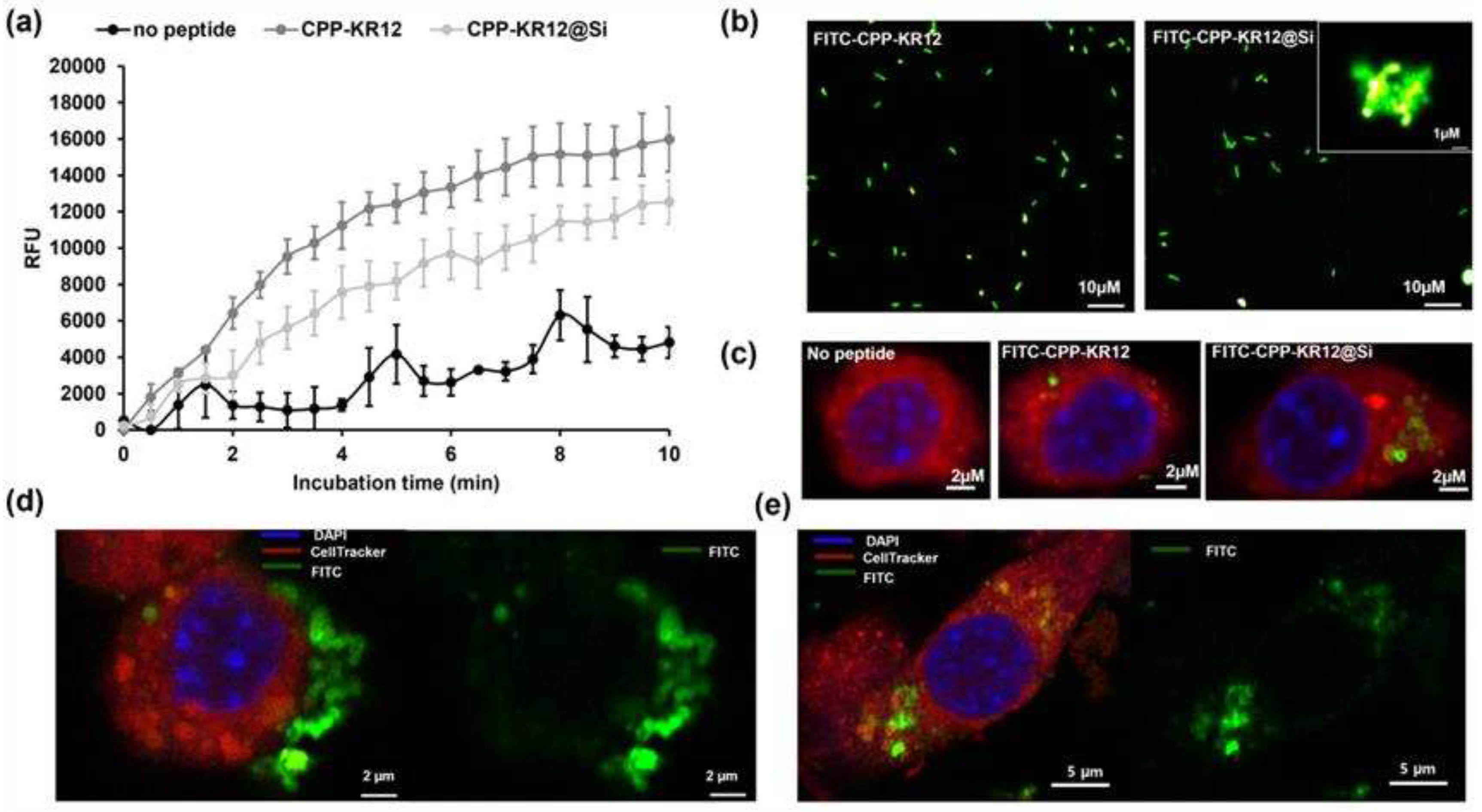 Preprints 87464 g005