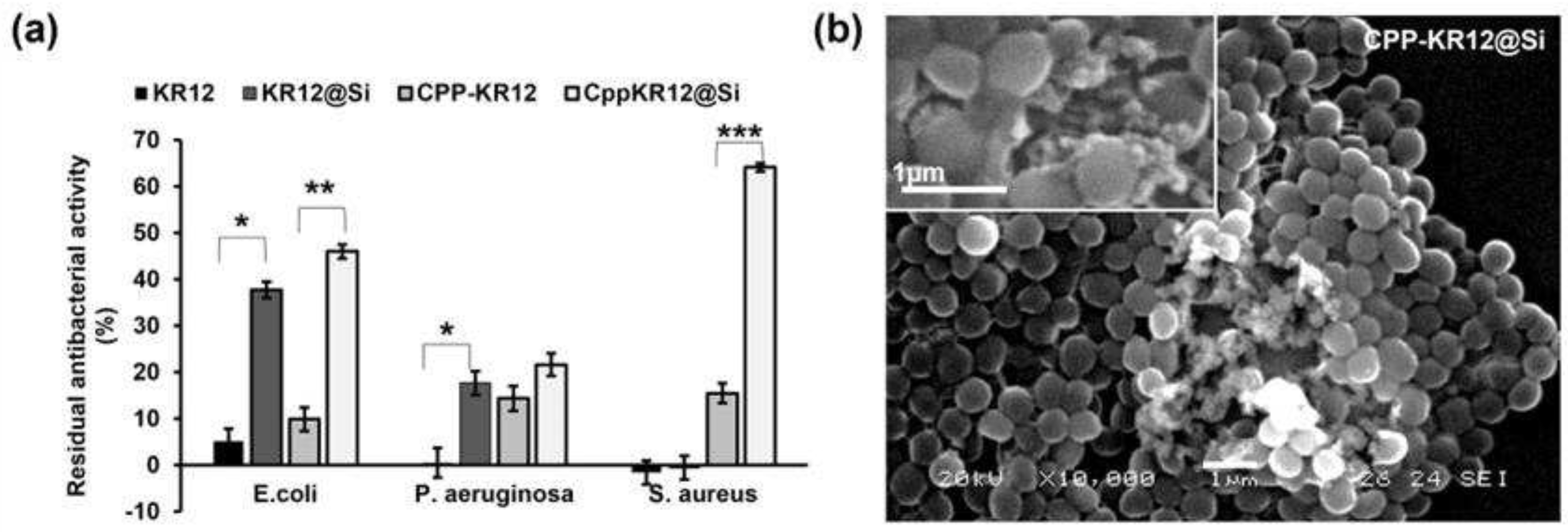 Preprints 87464 g006