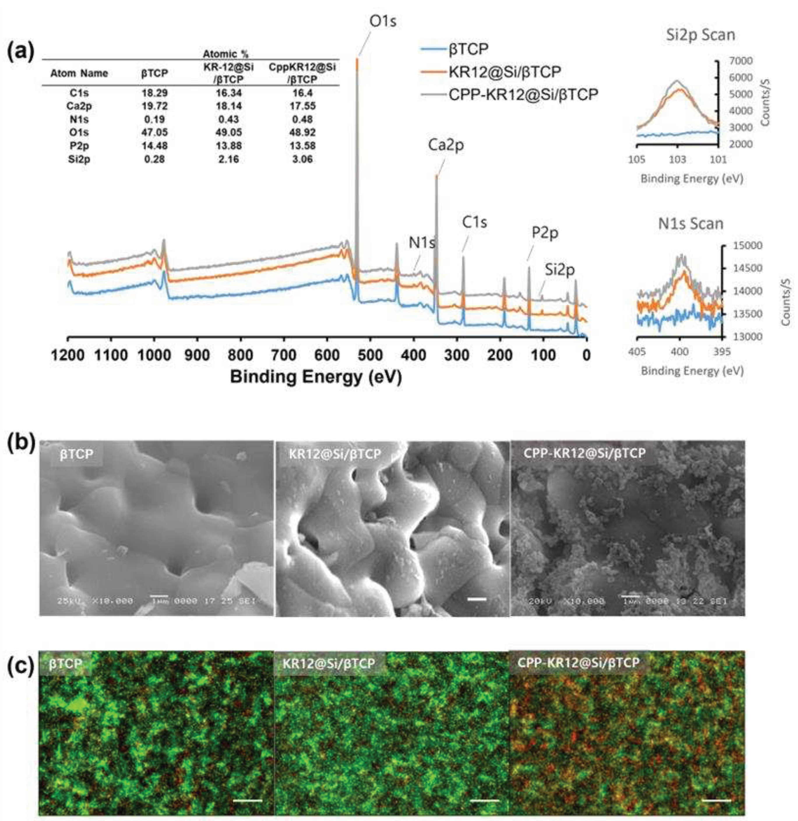 Preprints 87464 g008