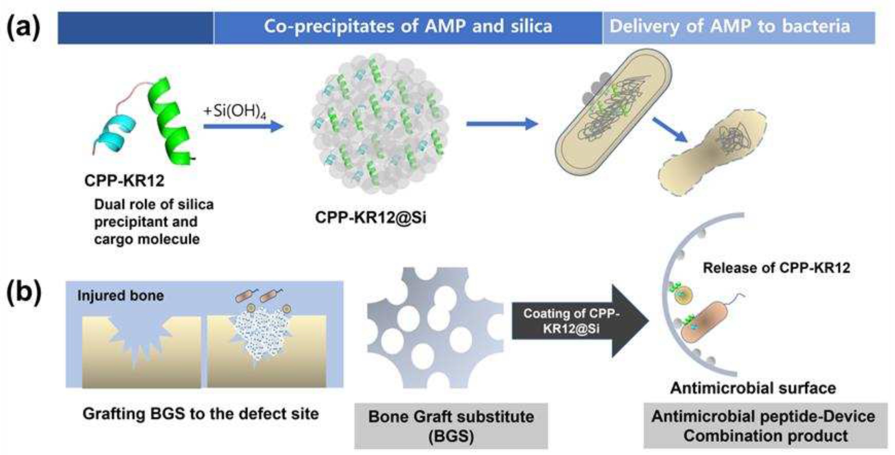 Preprints 87464 sch001