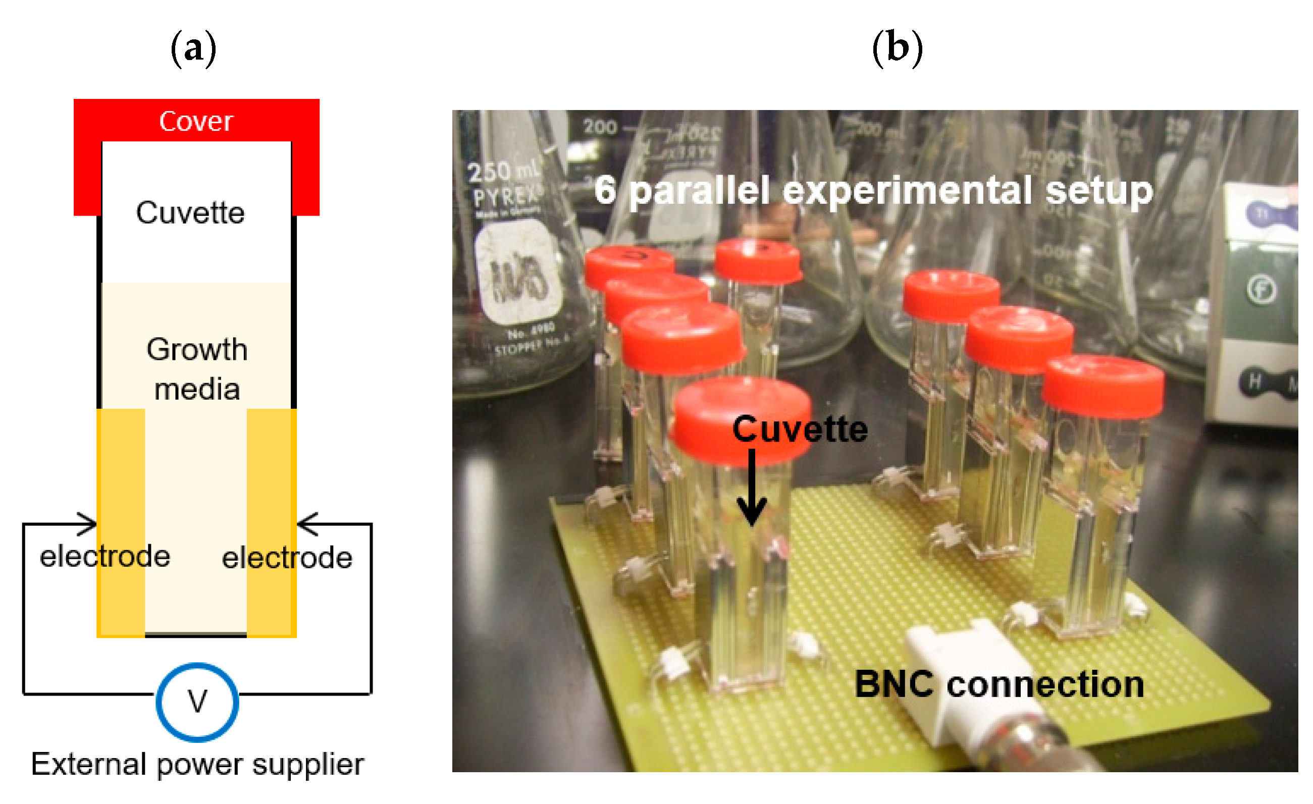 Preprints 75339 g003