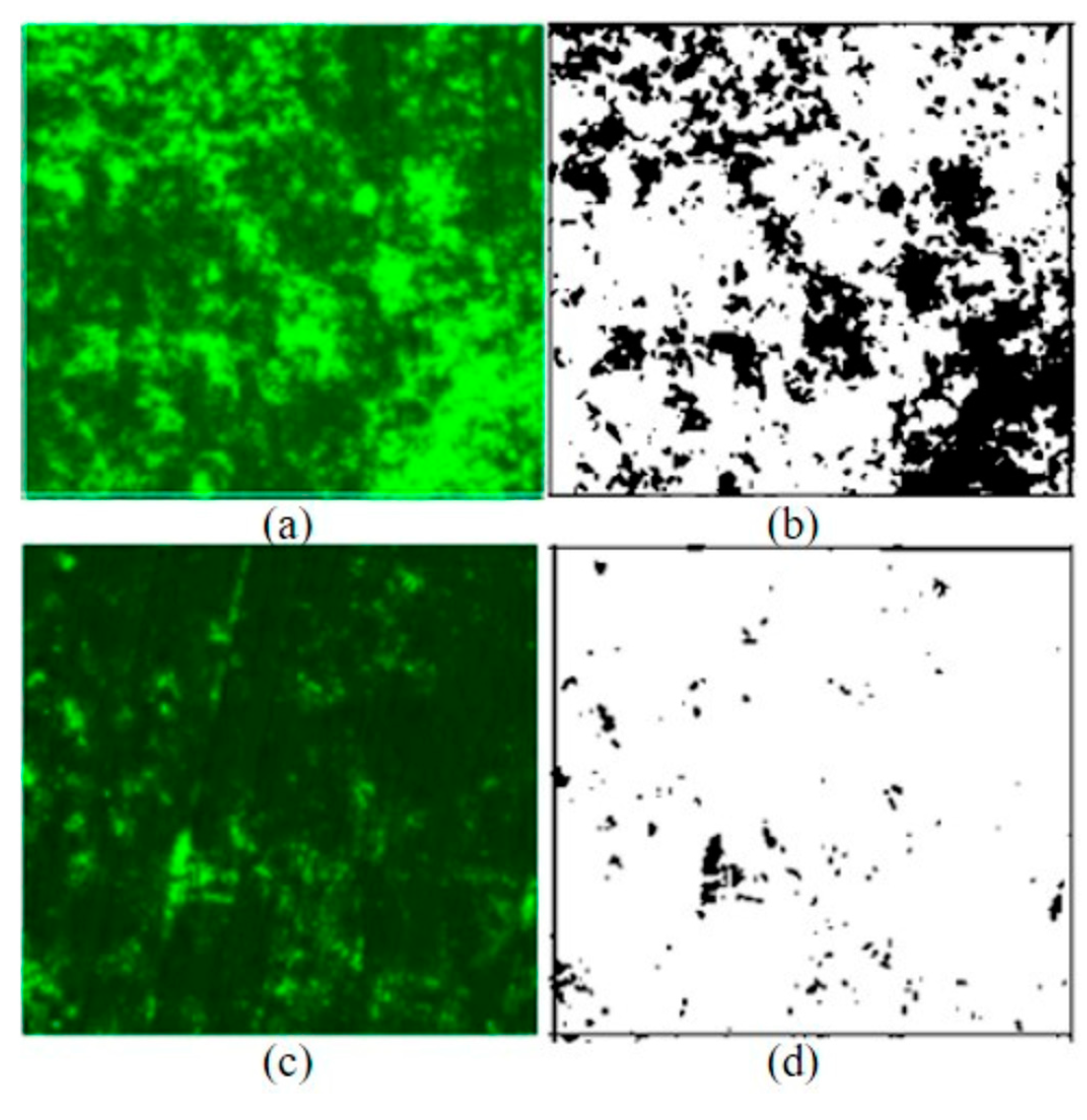 Preprints 75339 g008