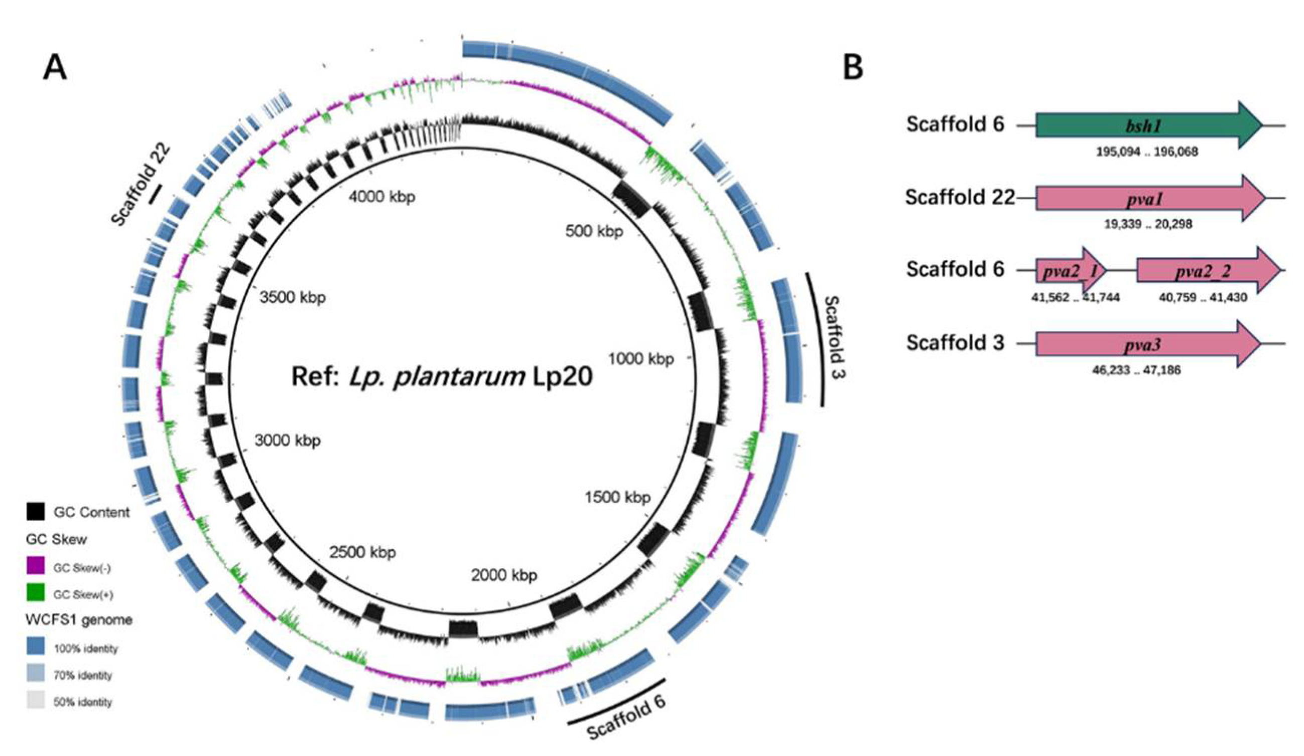 Preprints 108329 g003