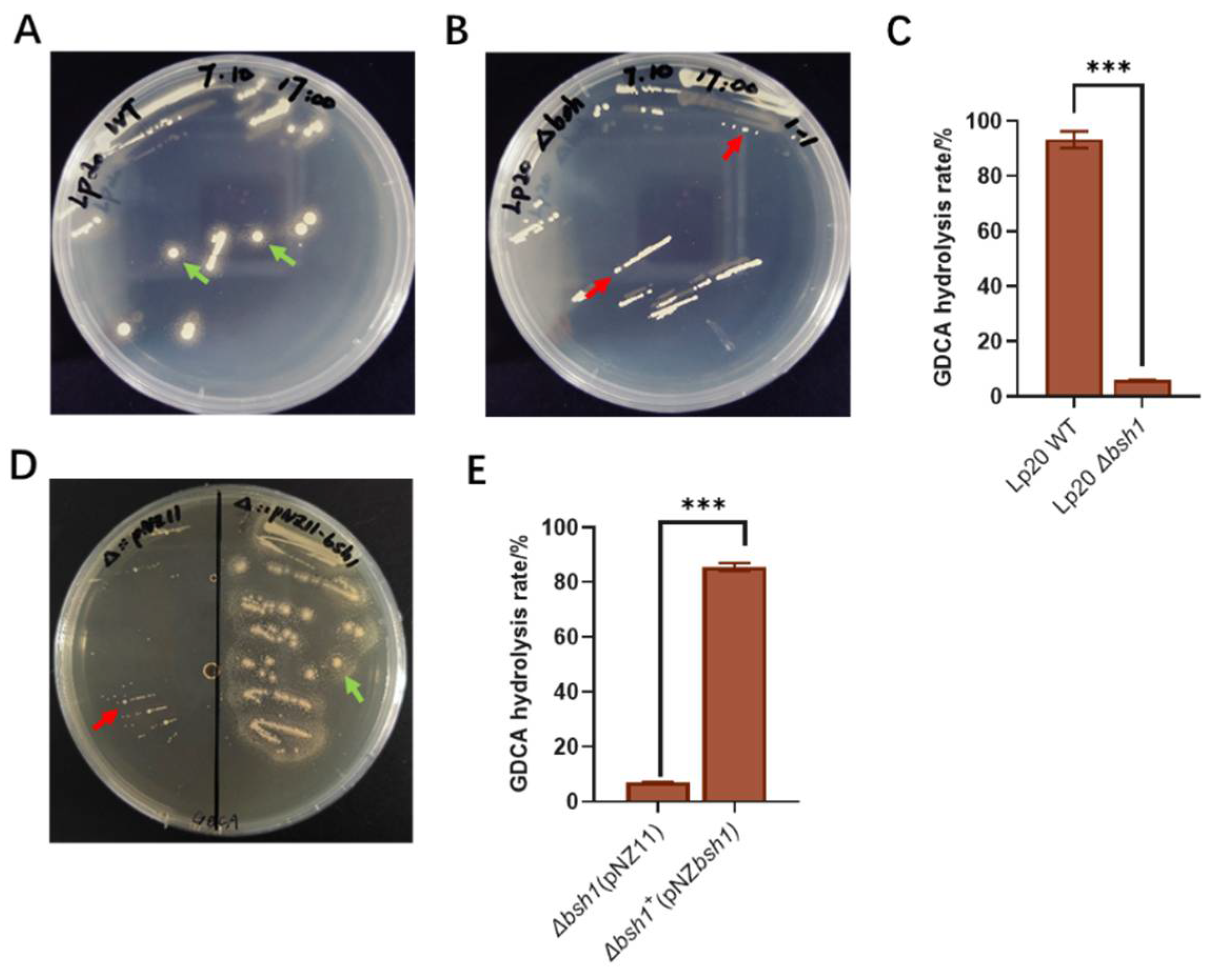 Preprints 108329 g004