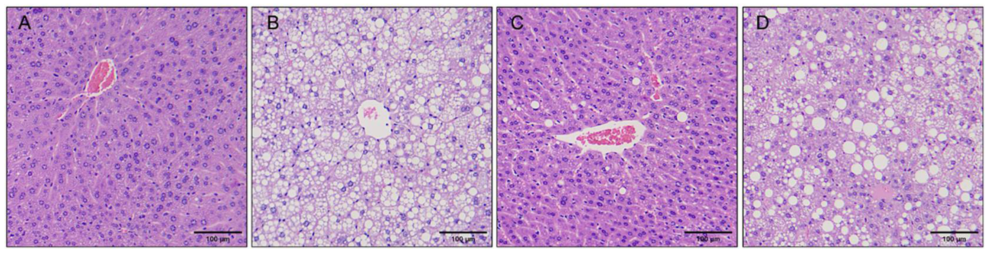 Preprints 108329 g007