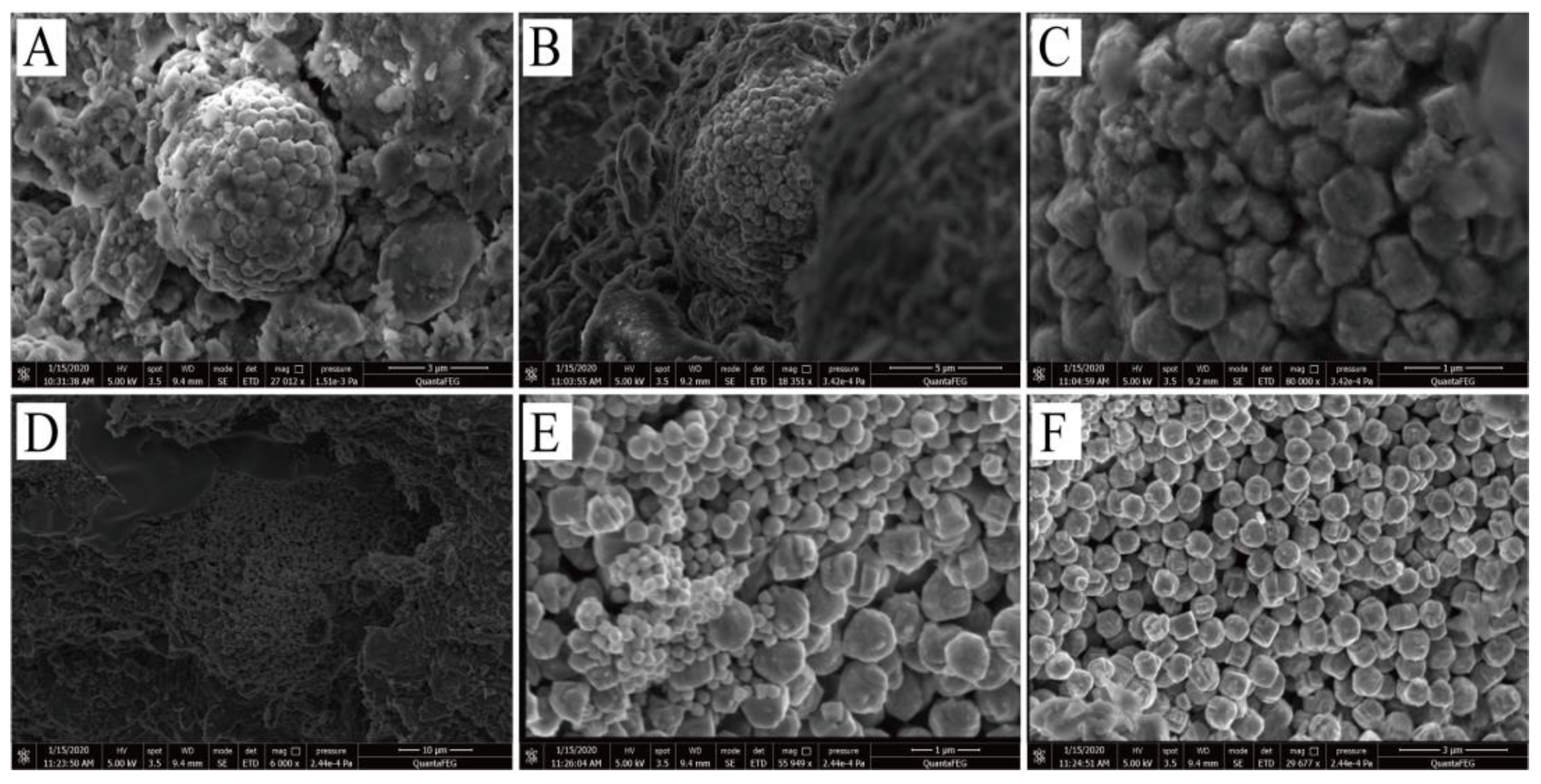 Preprints 115611 g008