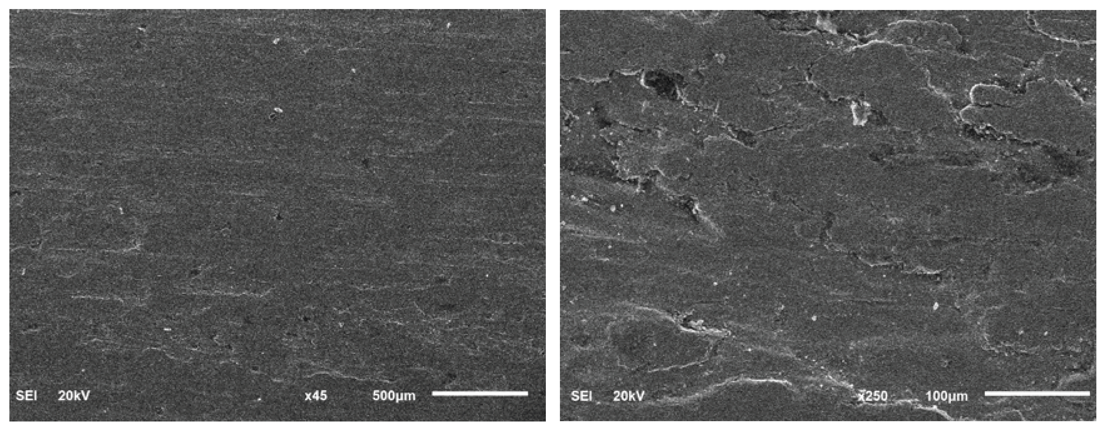 Preprints 82798 g014