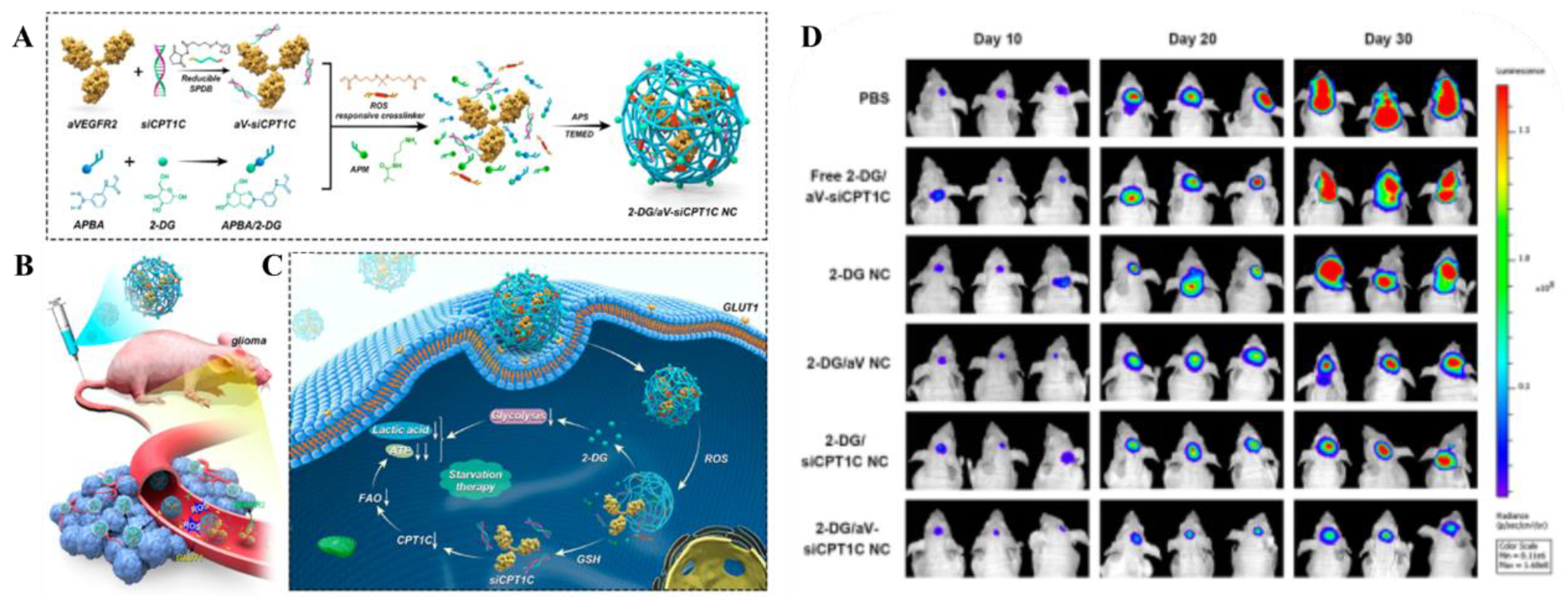 Preprints 117011 g004