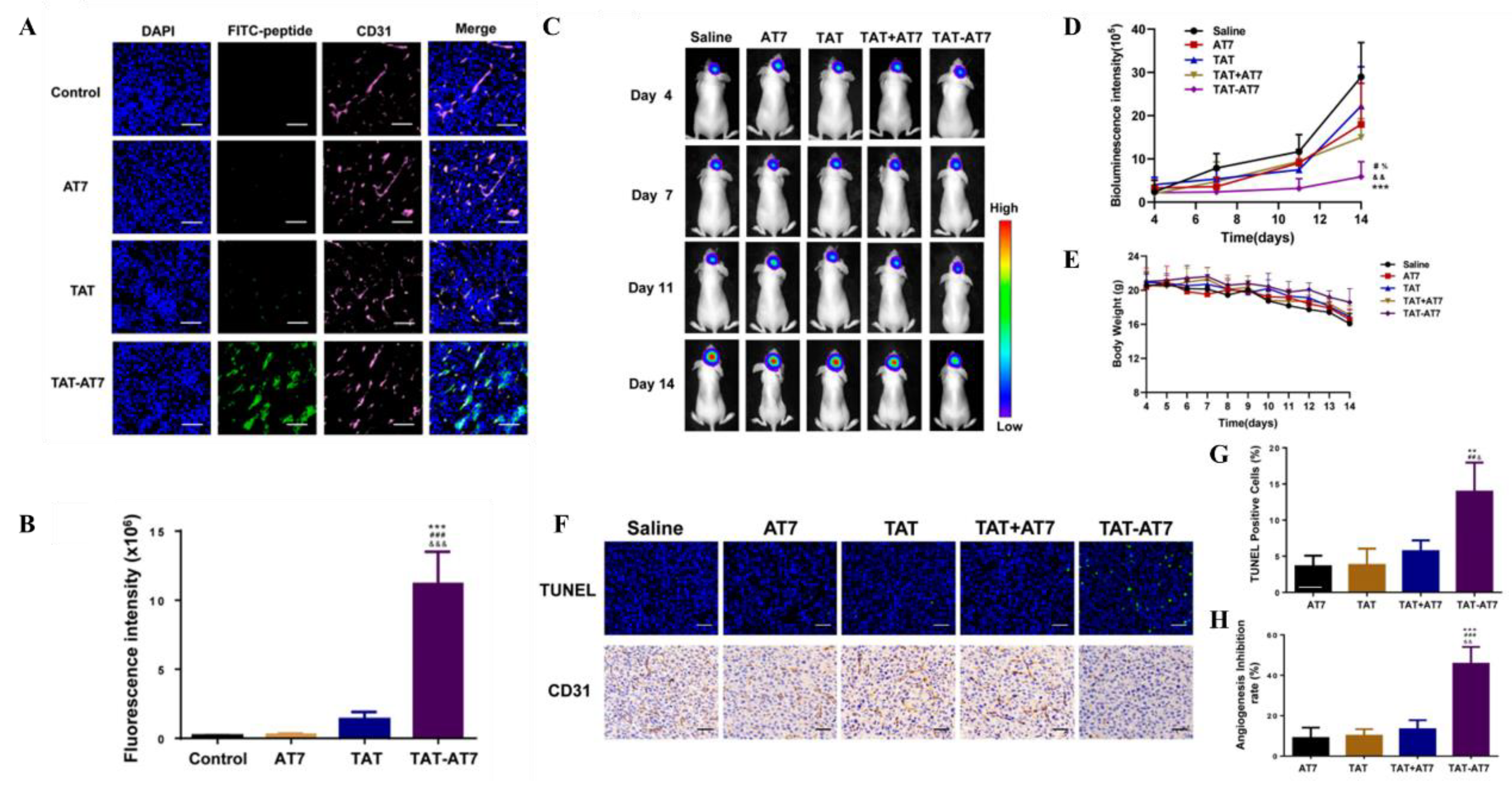 Preprints 117011 g005