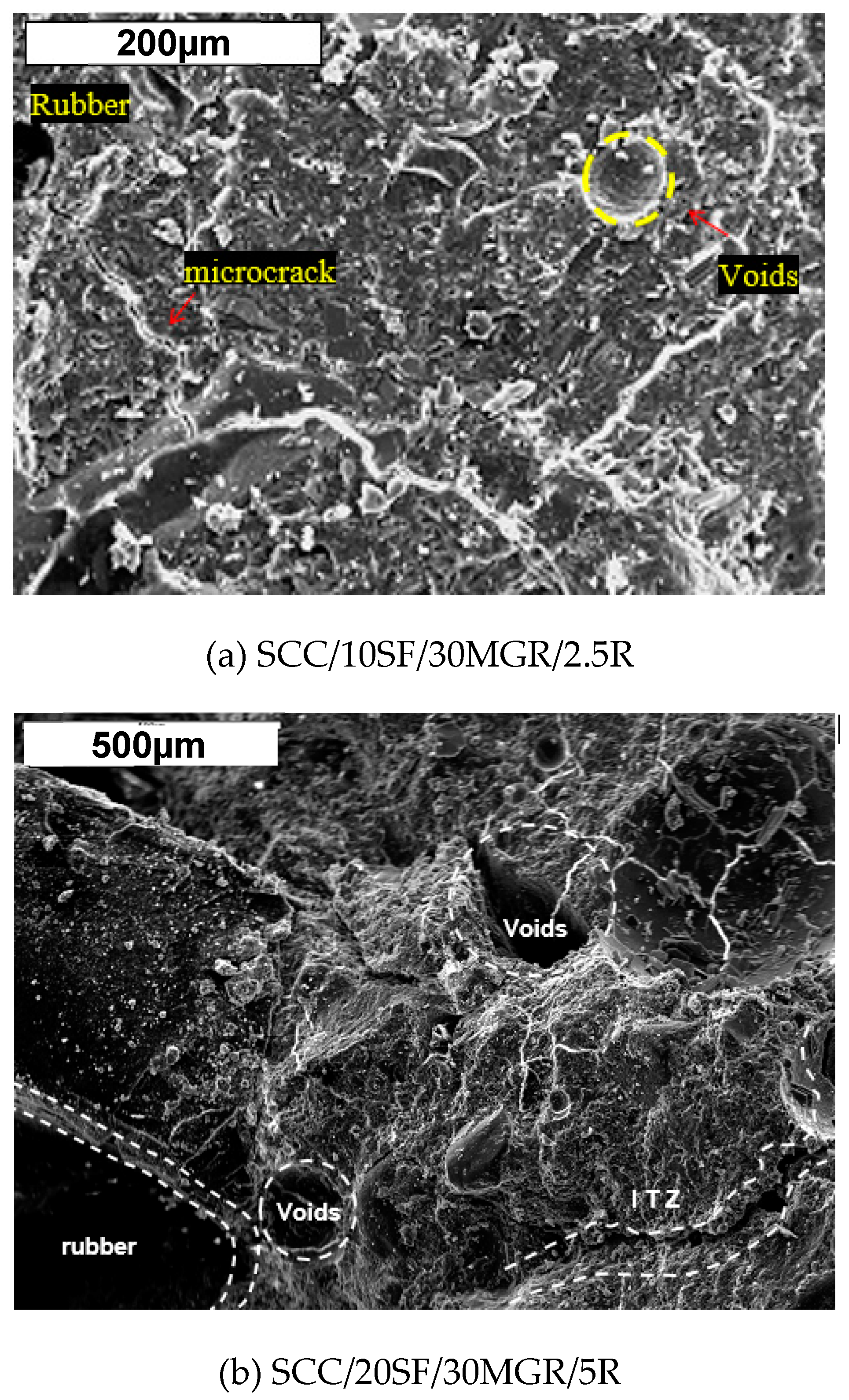 Preprints 106619 g008