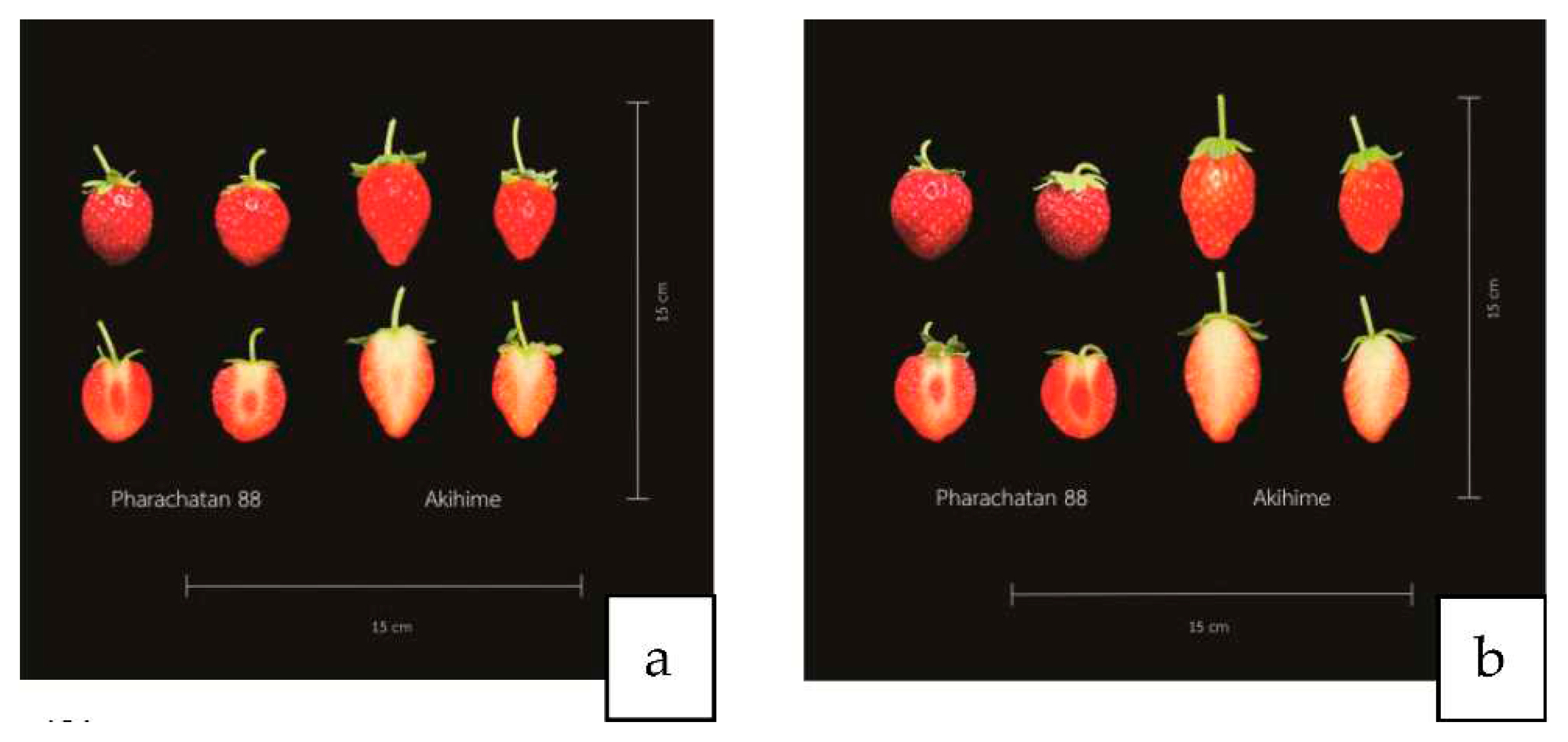 Preprints 82959 g008