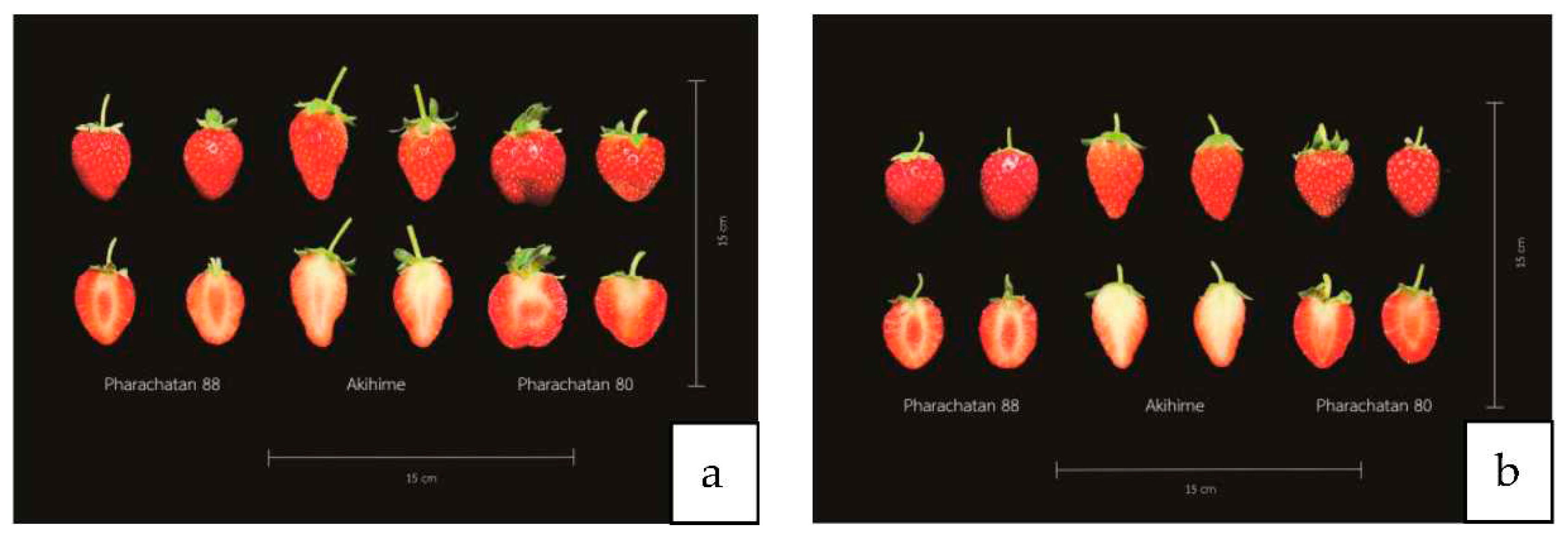 Preprints 82959 g009