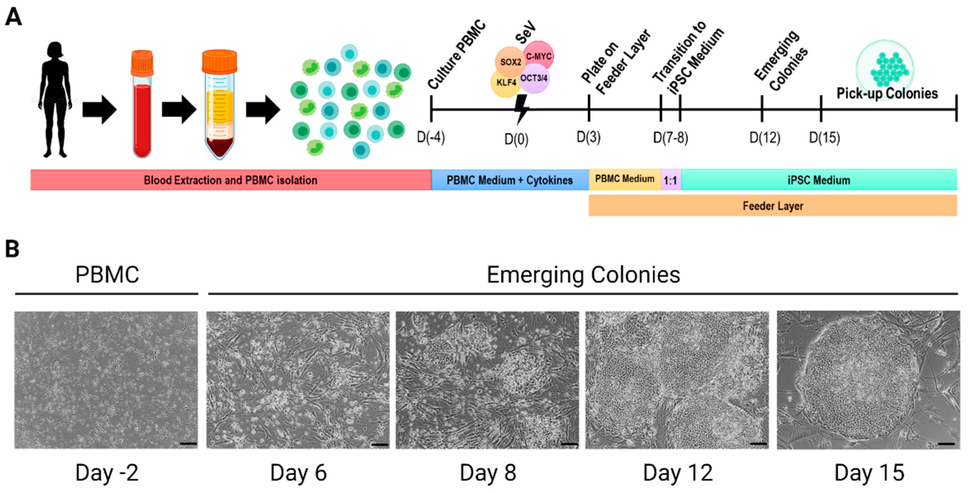 Preprints 68745 g001