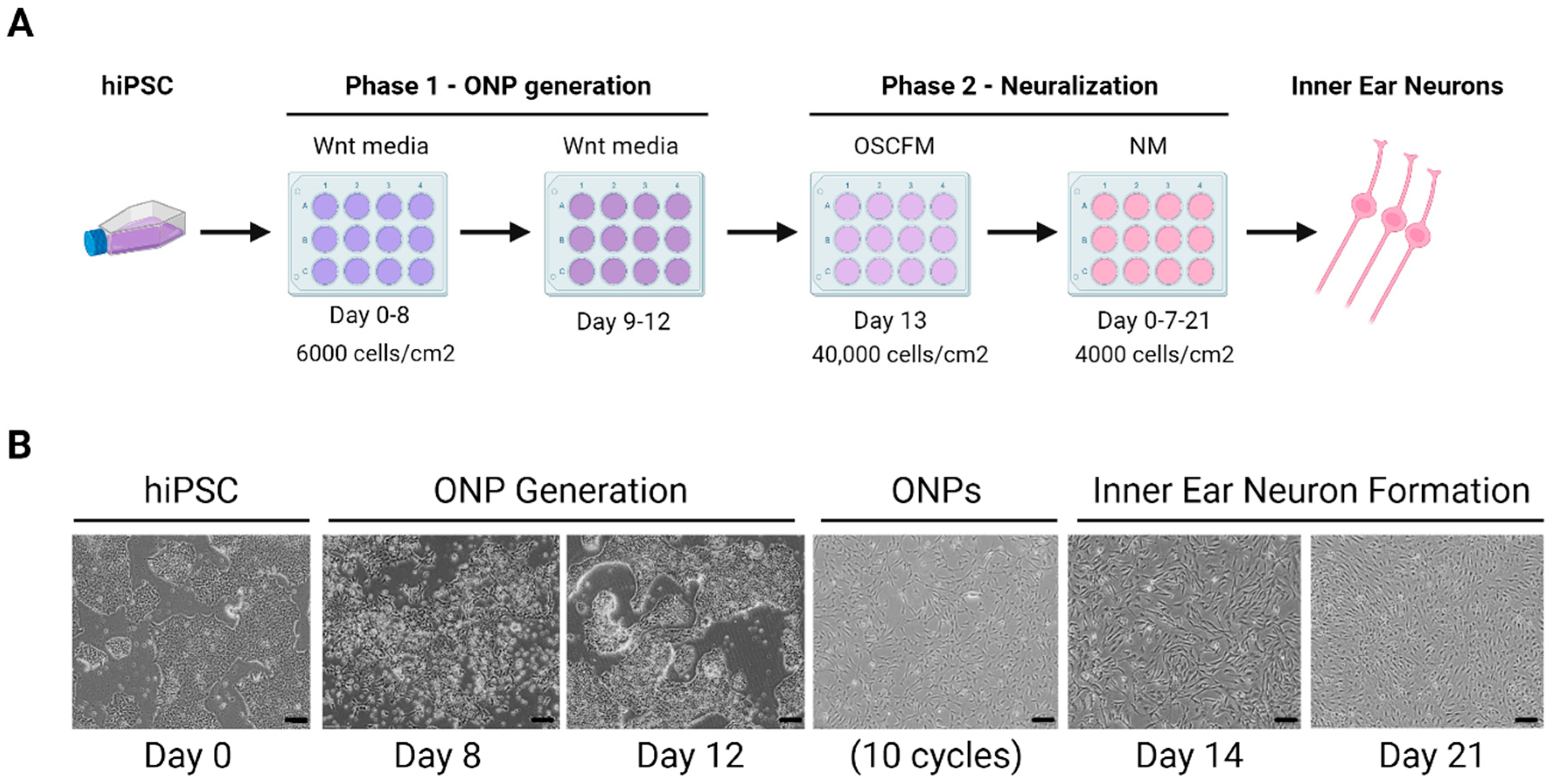 Preprints 68745 g006