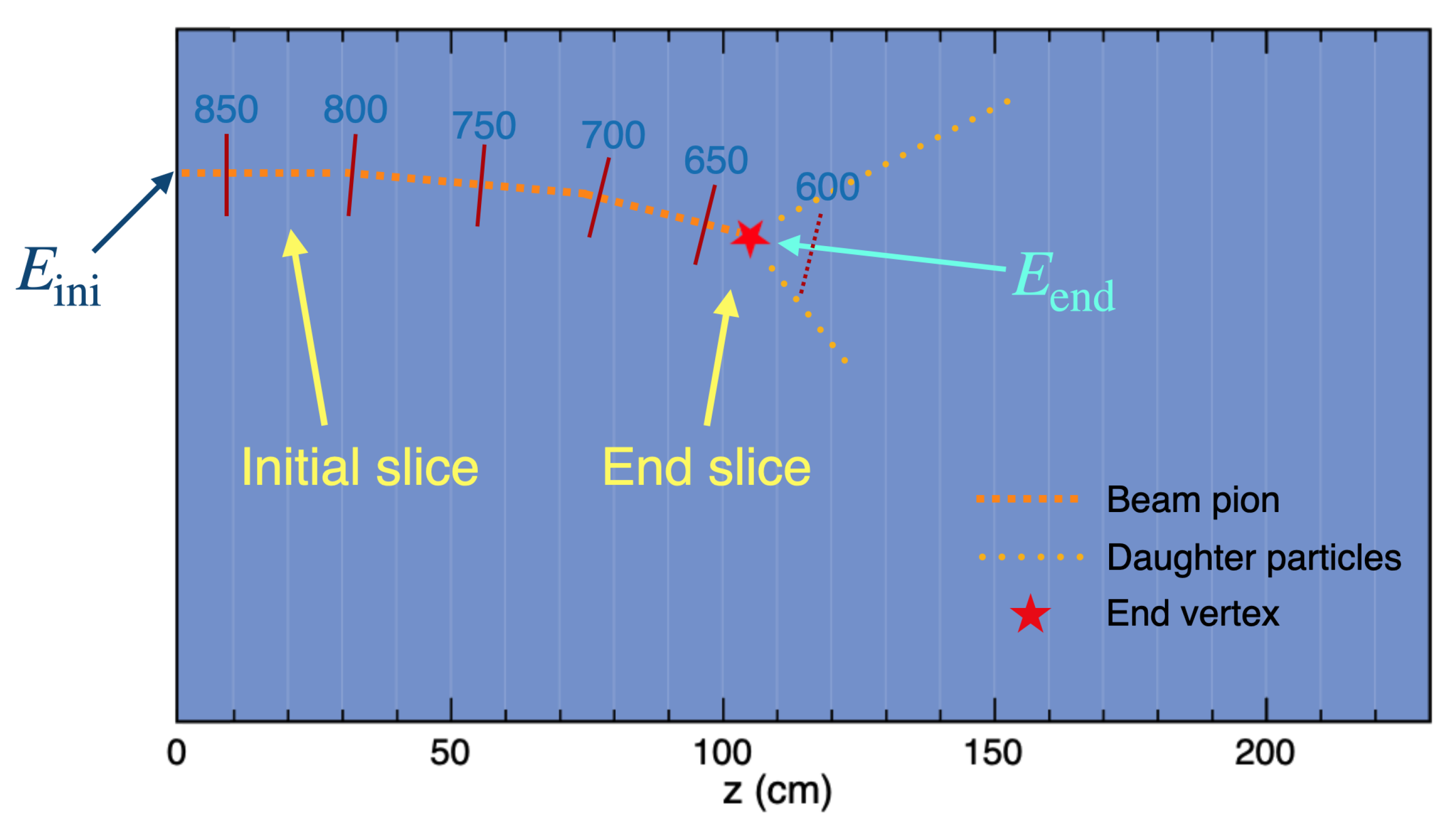 Preprints 75911 g001