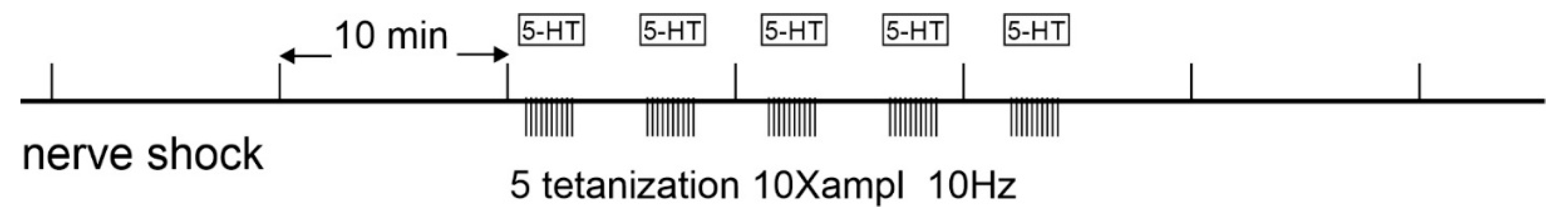 Preprints 121046 g001