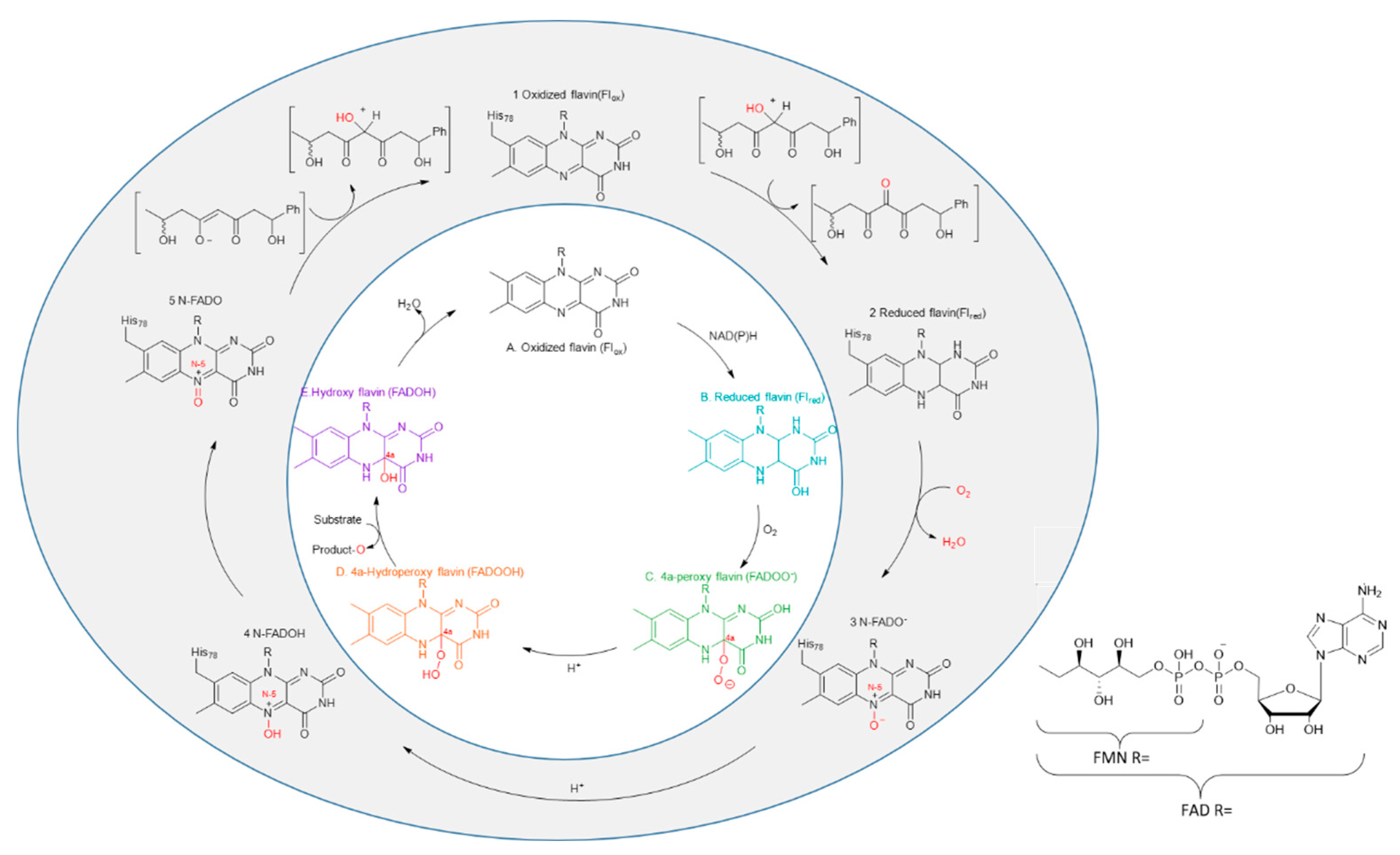 Preprints 91361 g001