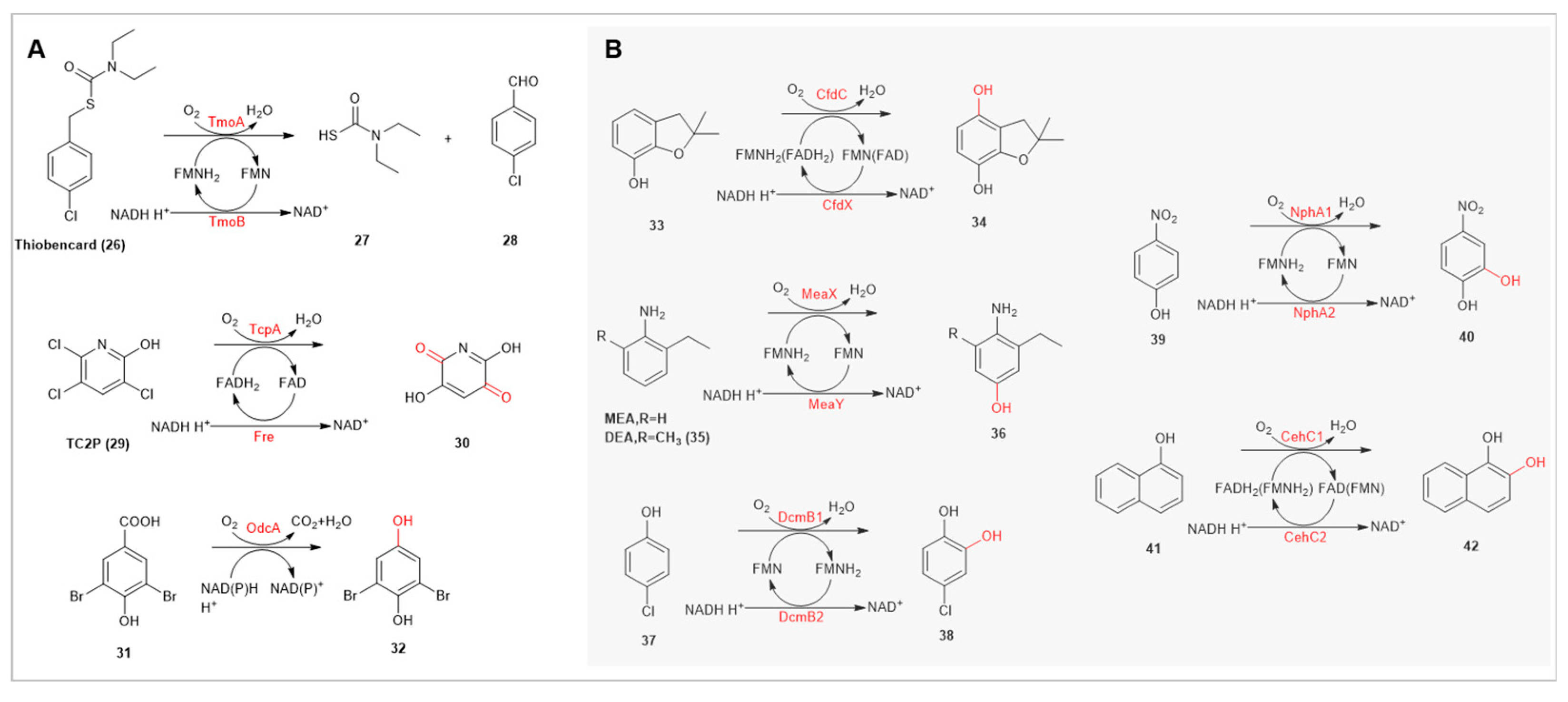 Preprints 91361 g005