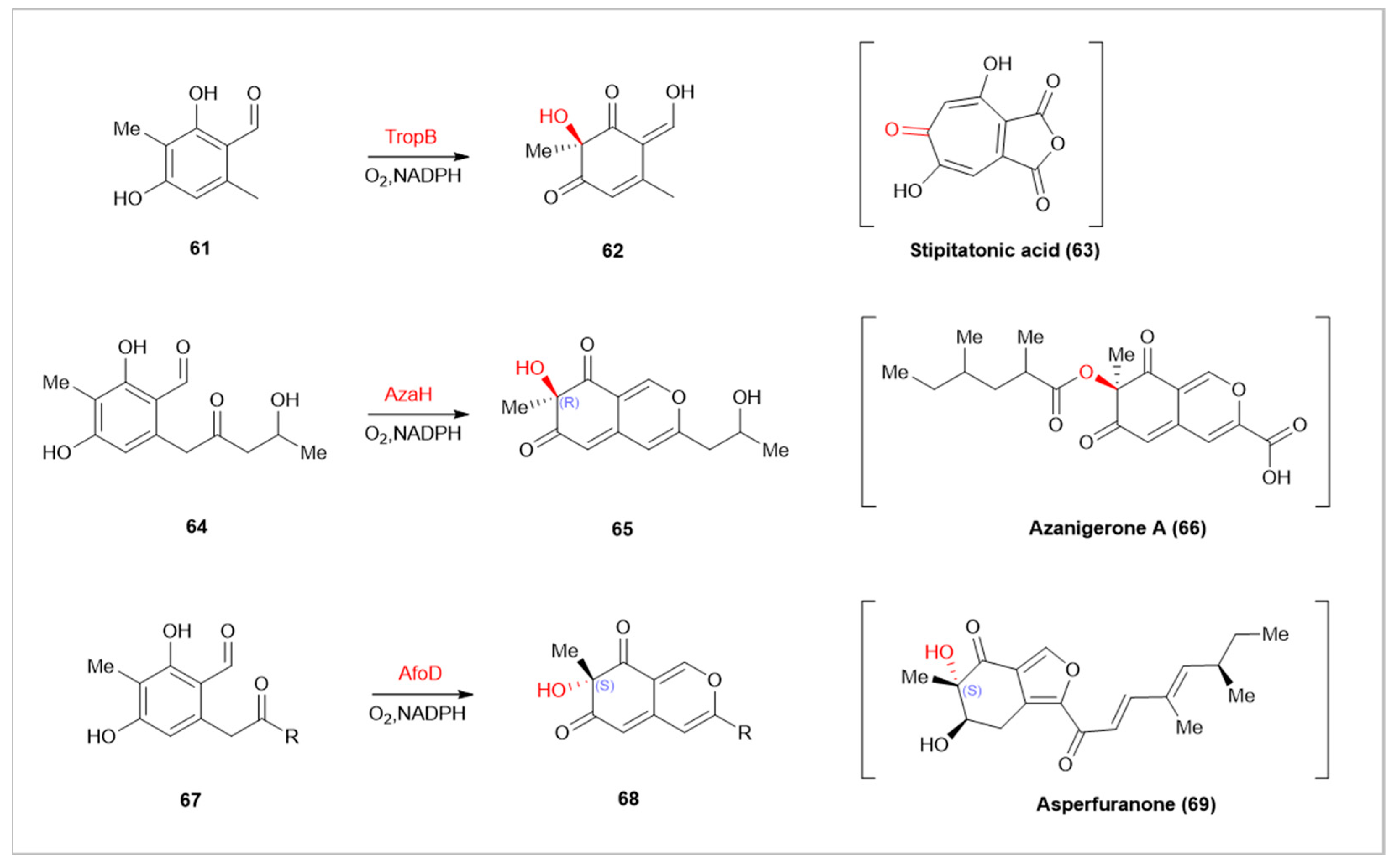 Preprints 91361 g006