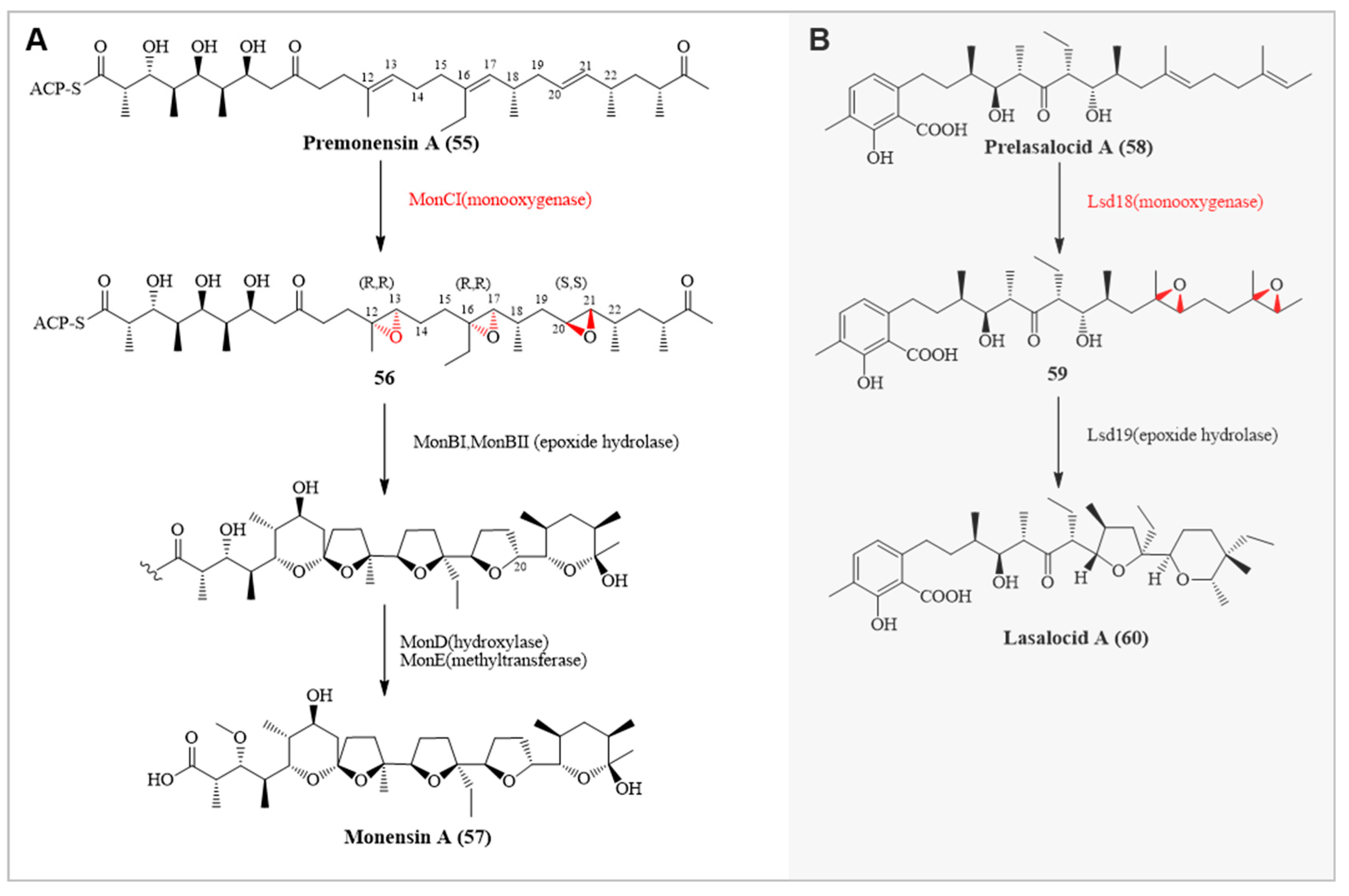 Preprints 91361 g007