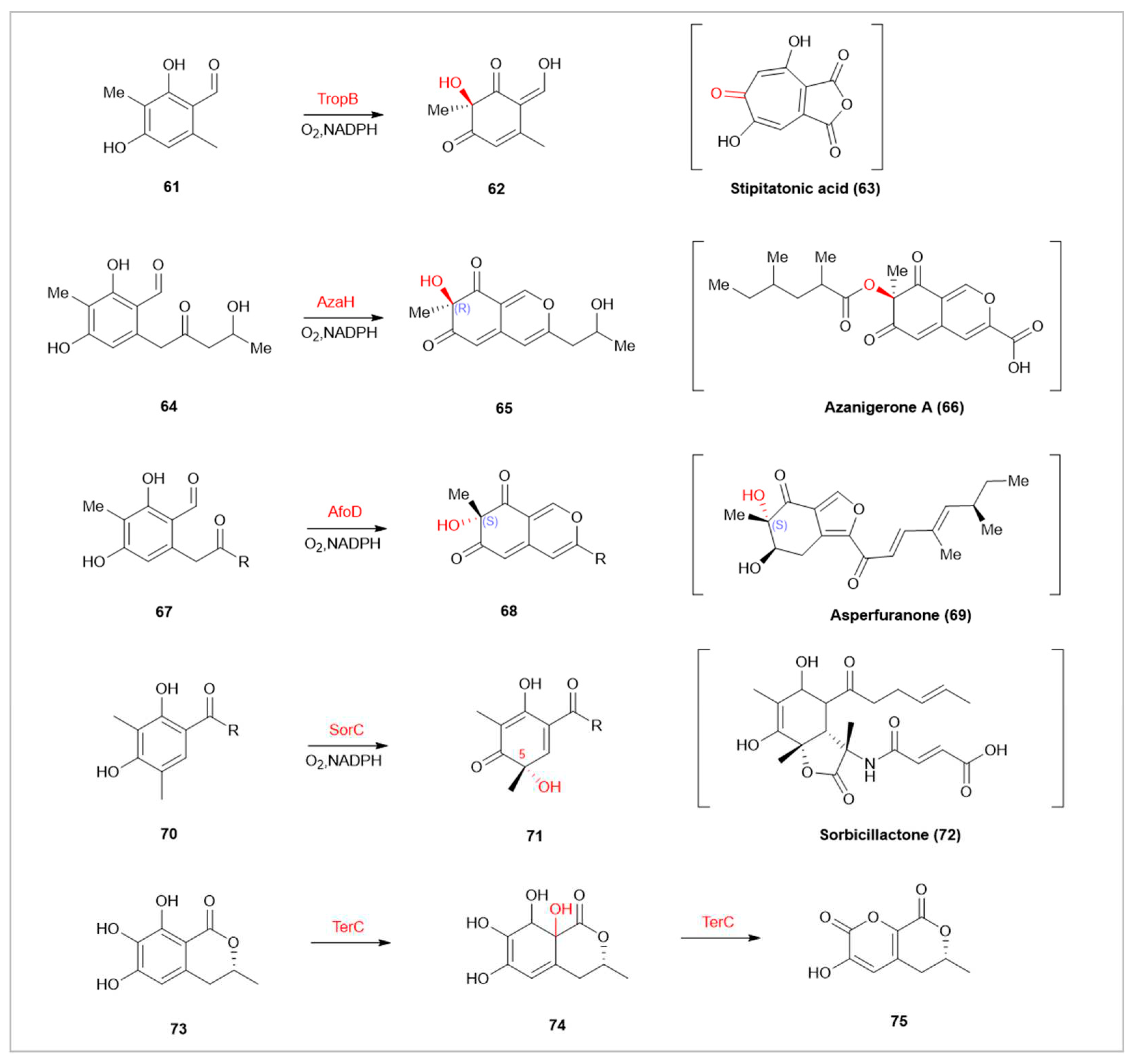 Preprints 91361 g008