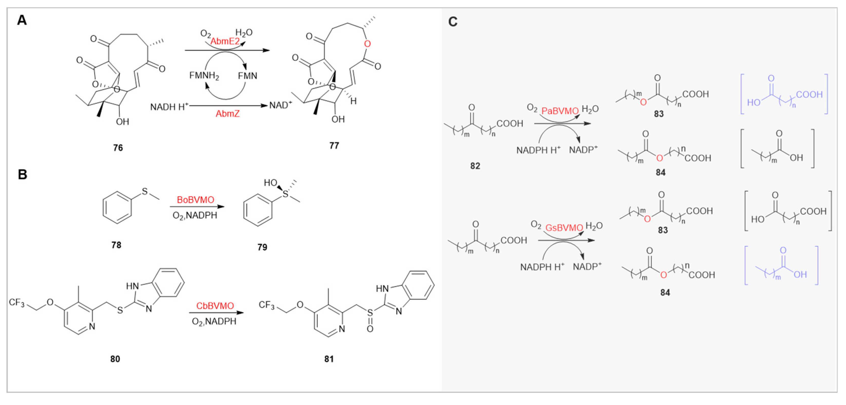 Preprints 91361 g009