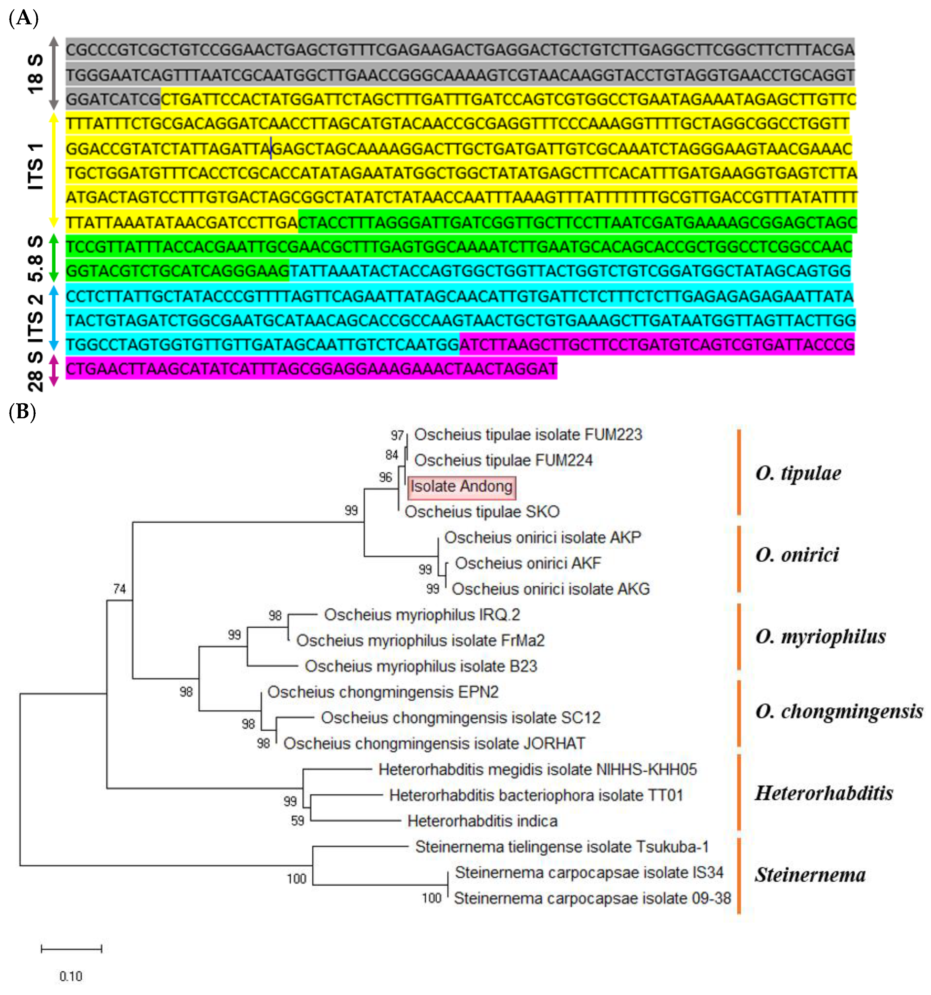 Preprints 103021 g002