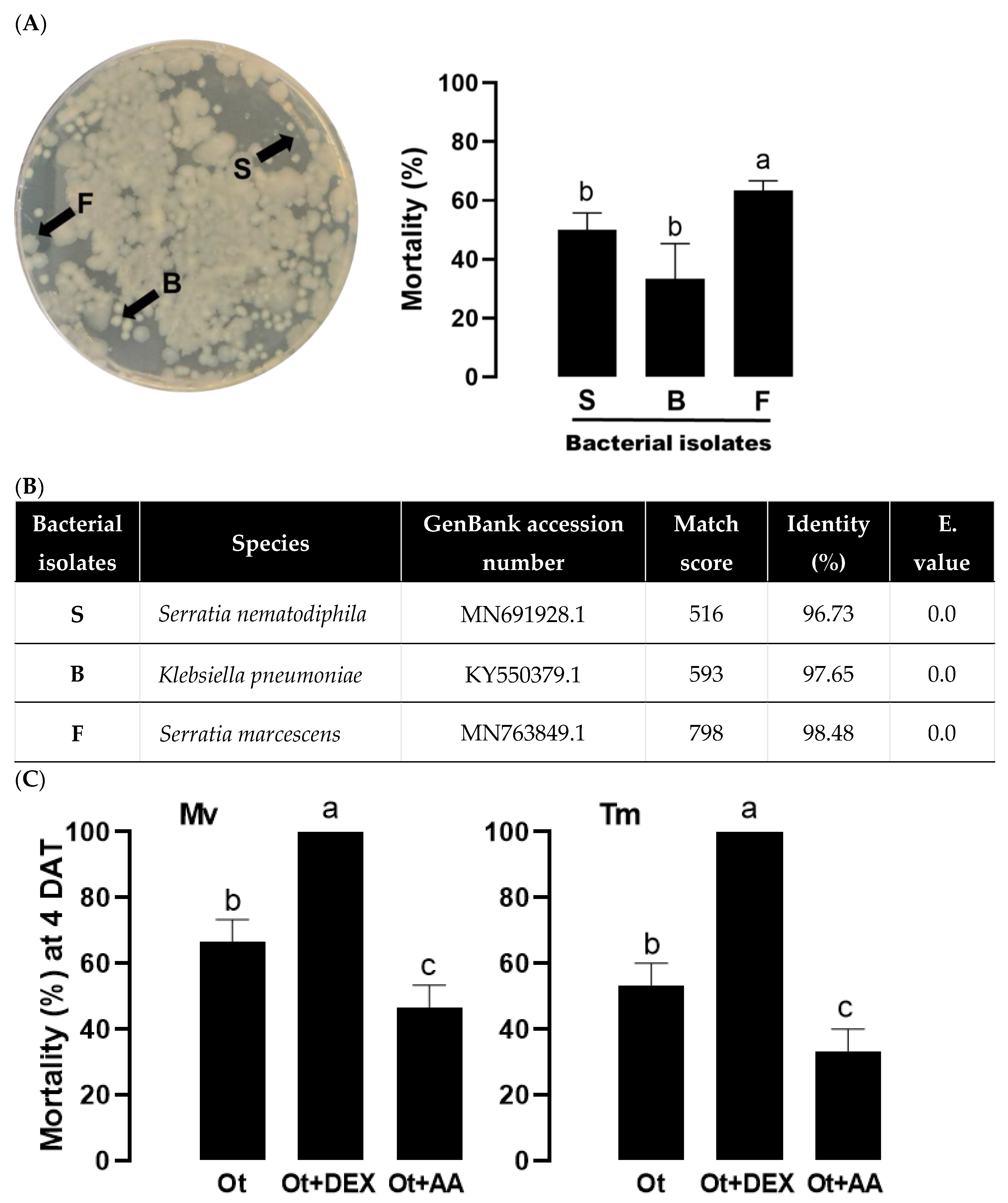 Preprints 103021 g005