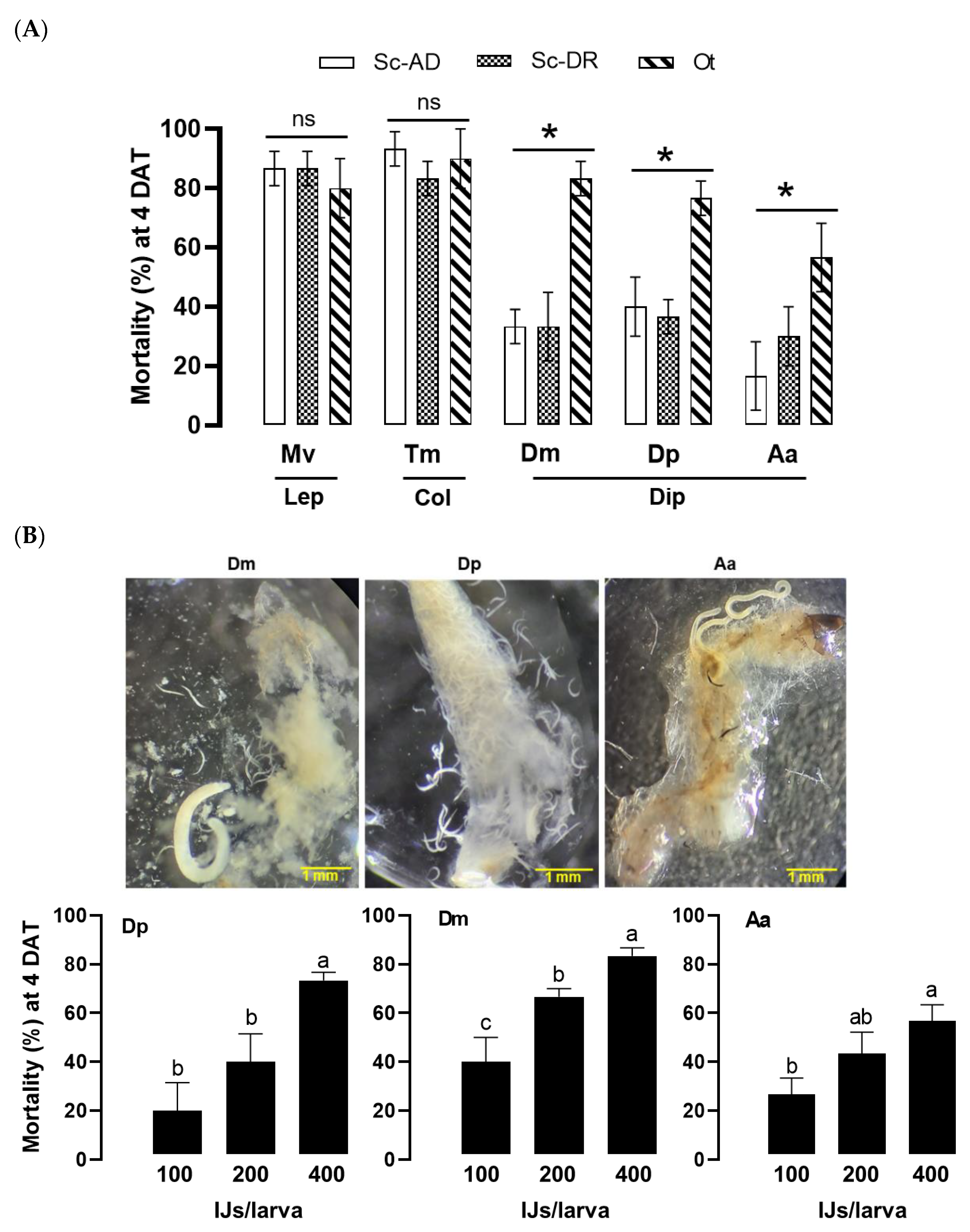 Preprints 103021 g007