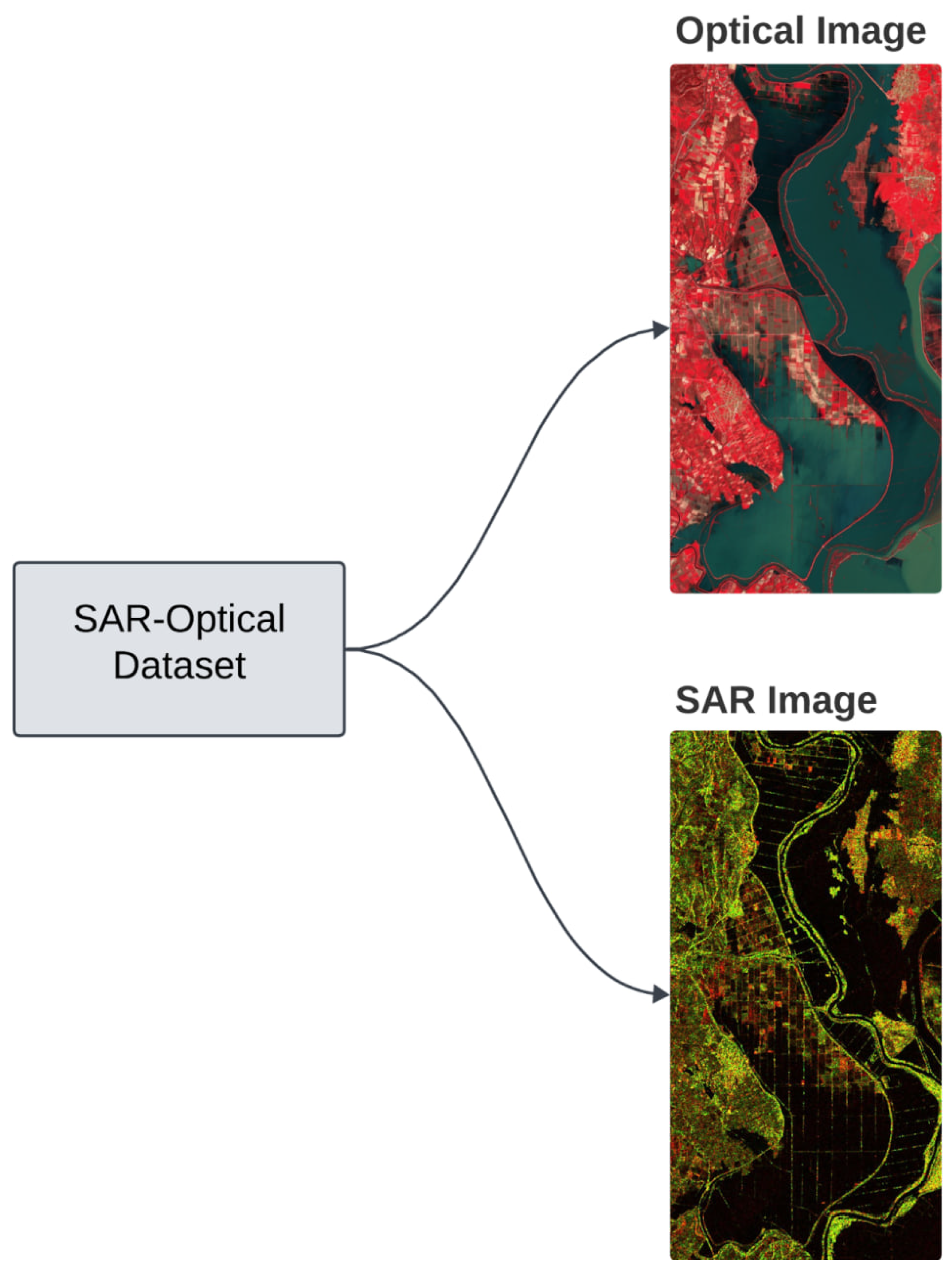 Preprints 113870 g005