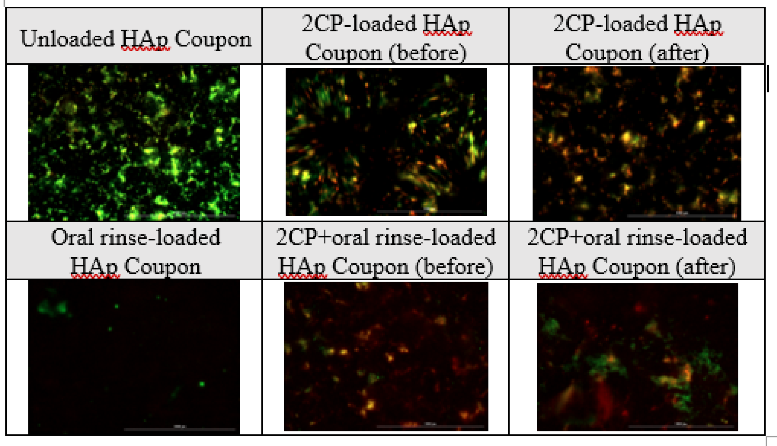 Preprints 113818 g006