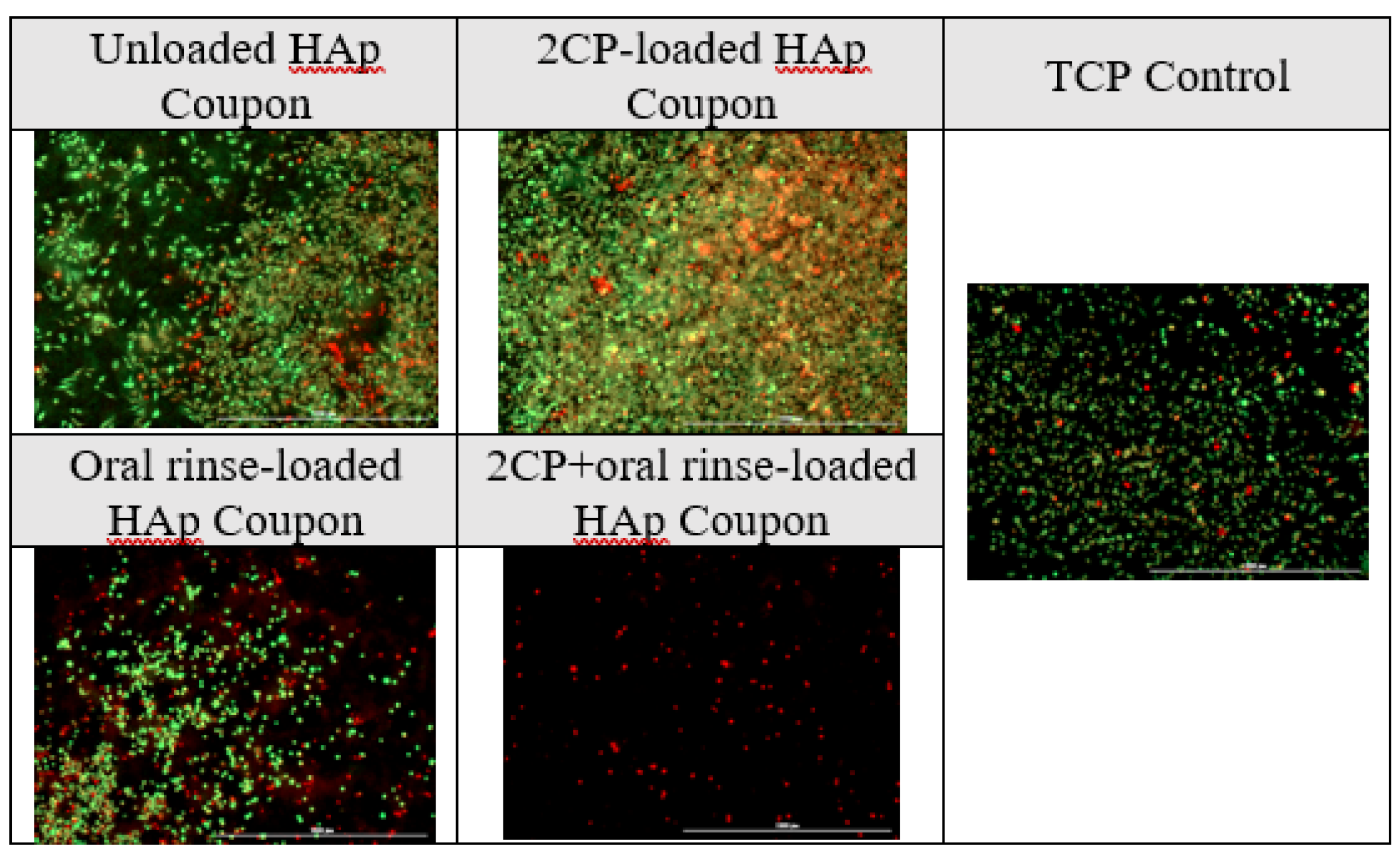 Preprints 113818 g008