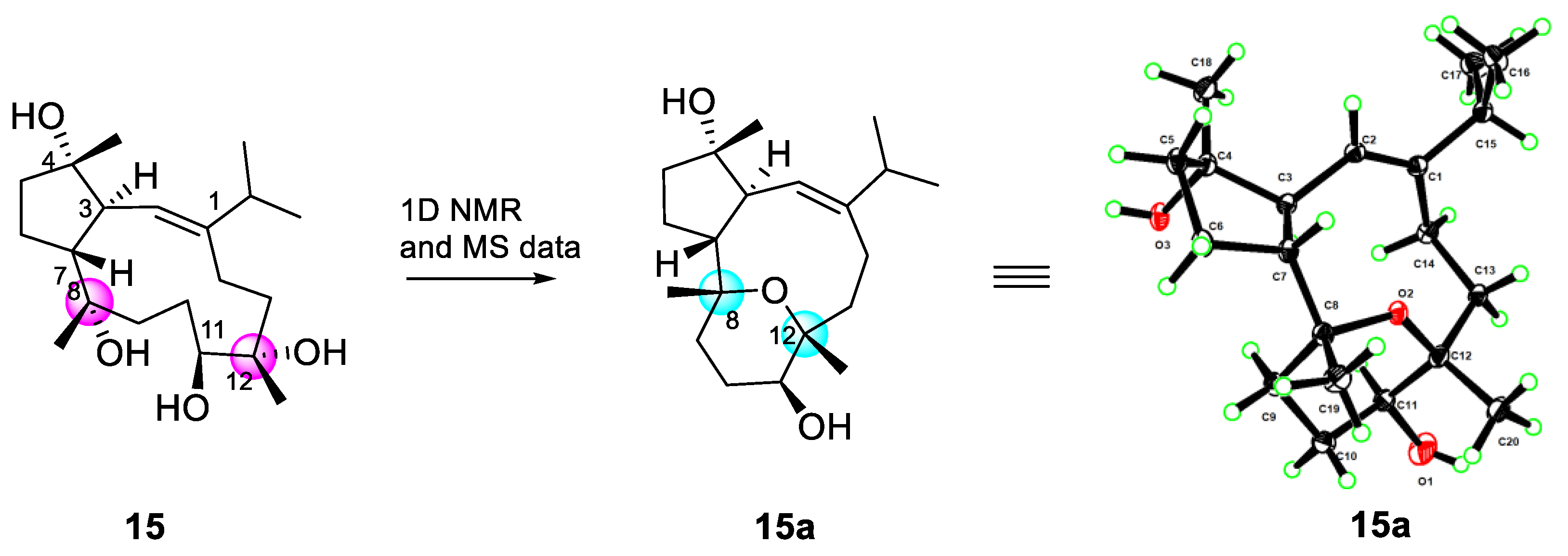 Preprints 94860 g008