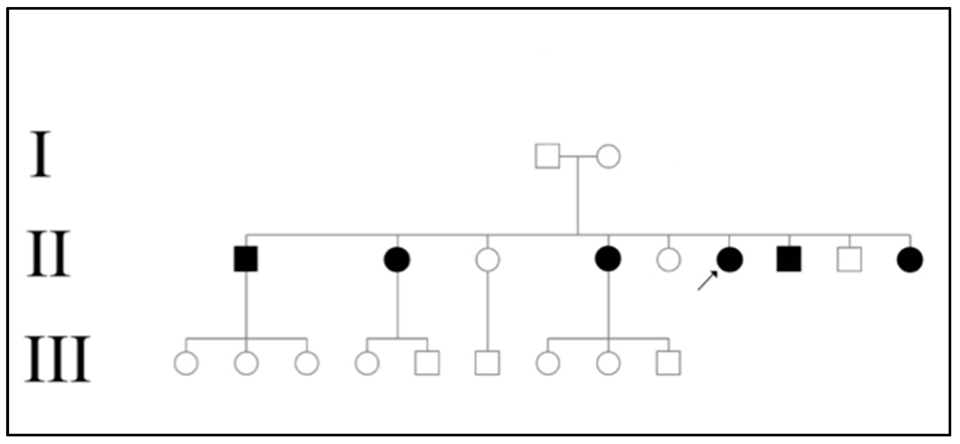 Preprints 67486 g001