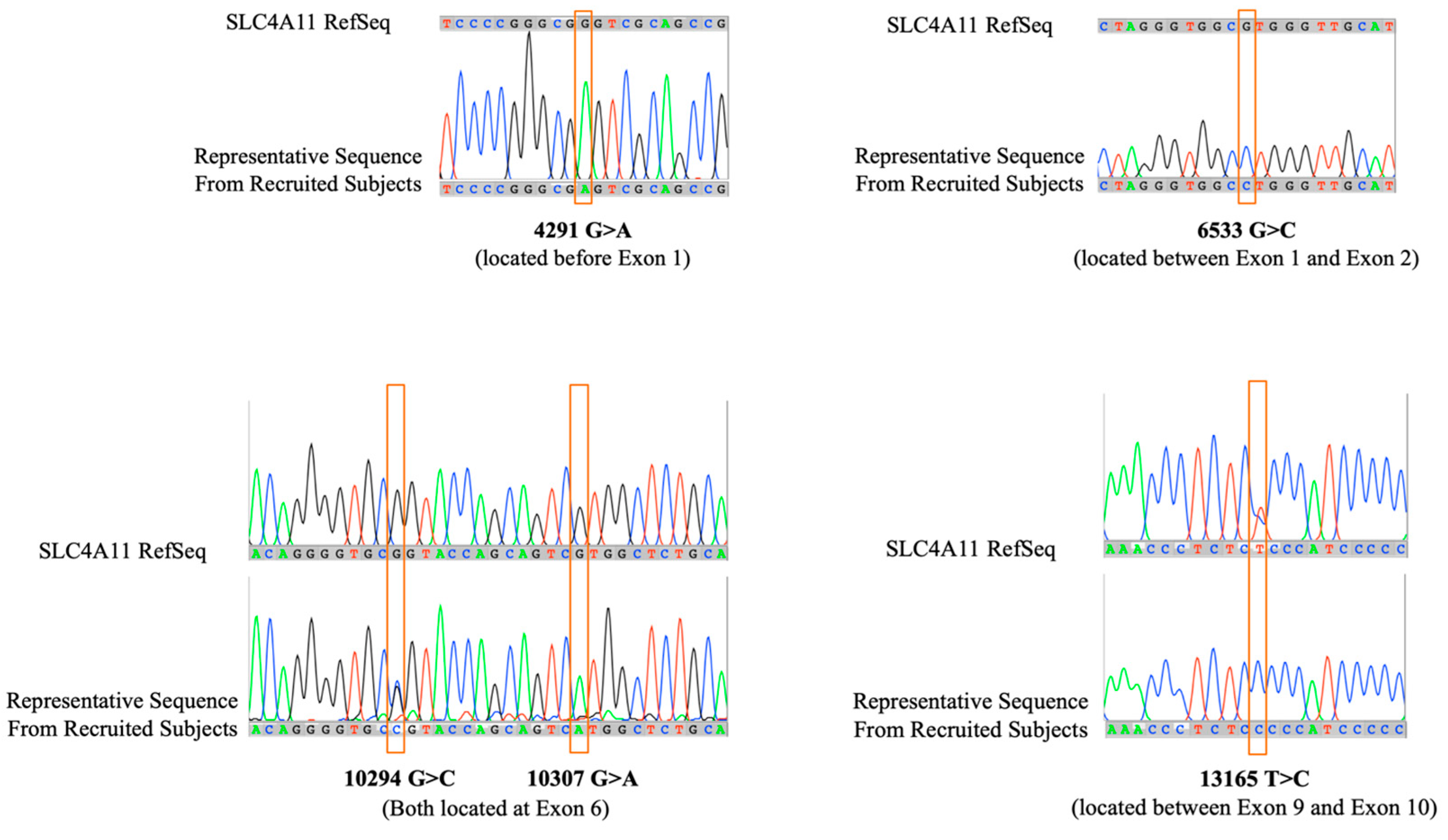 Preprints 67486 g003