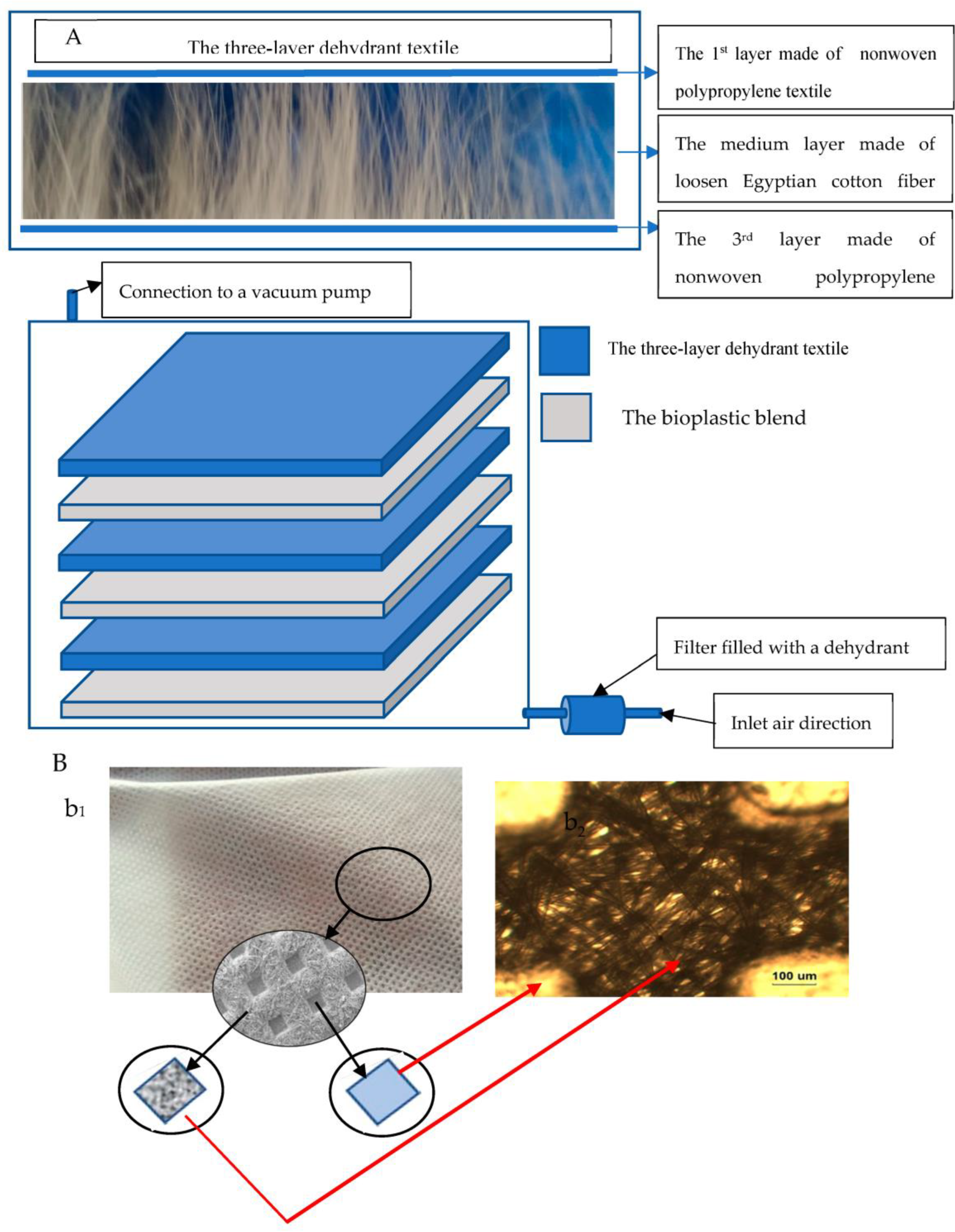 Preprints 74482 g002