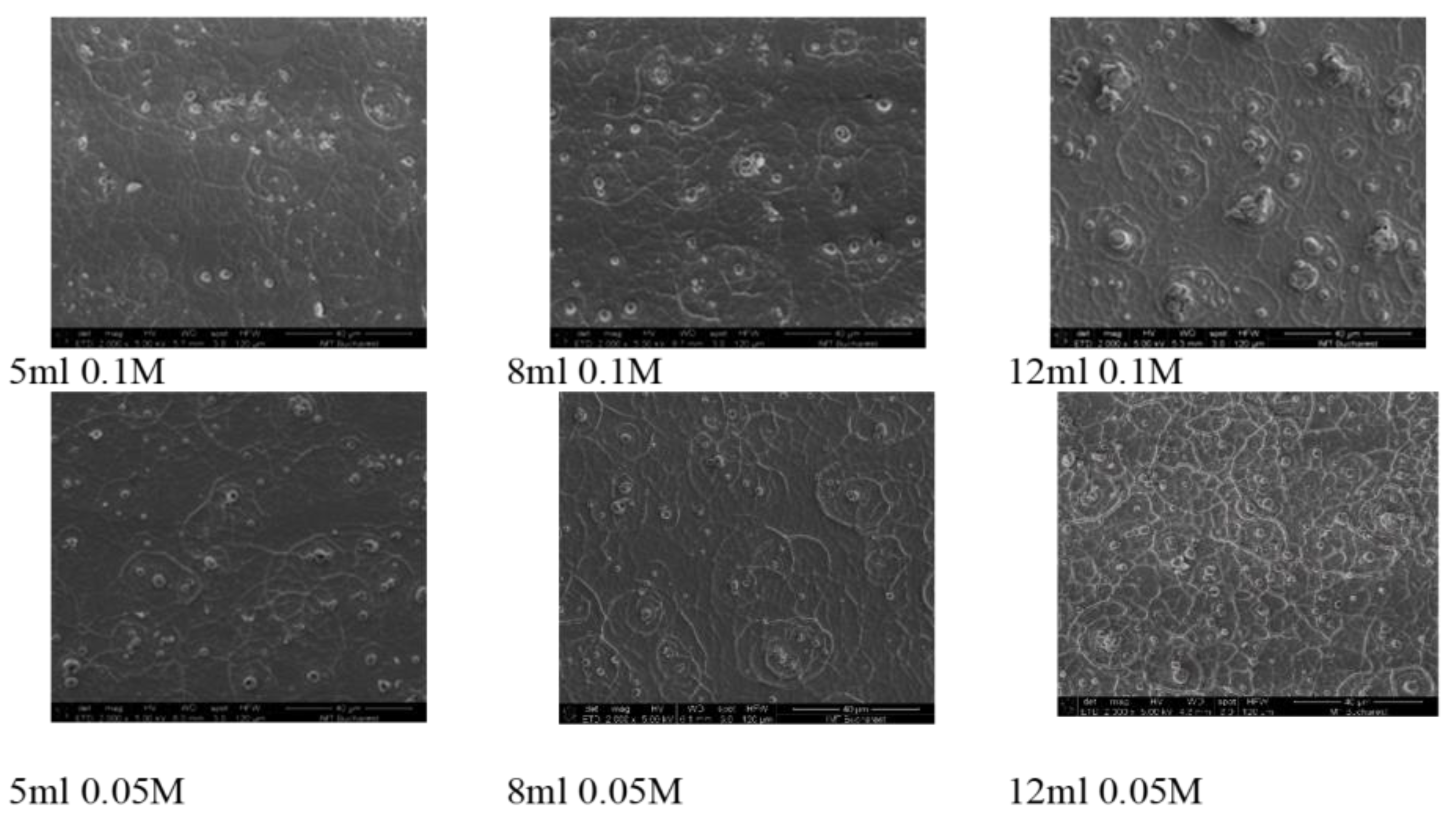 Preprints 108569 g001